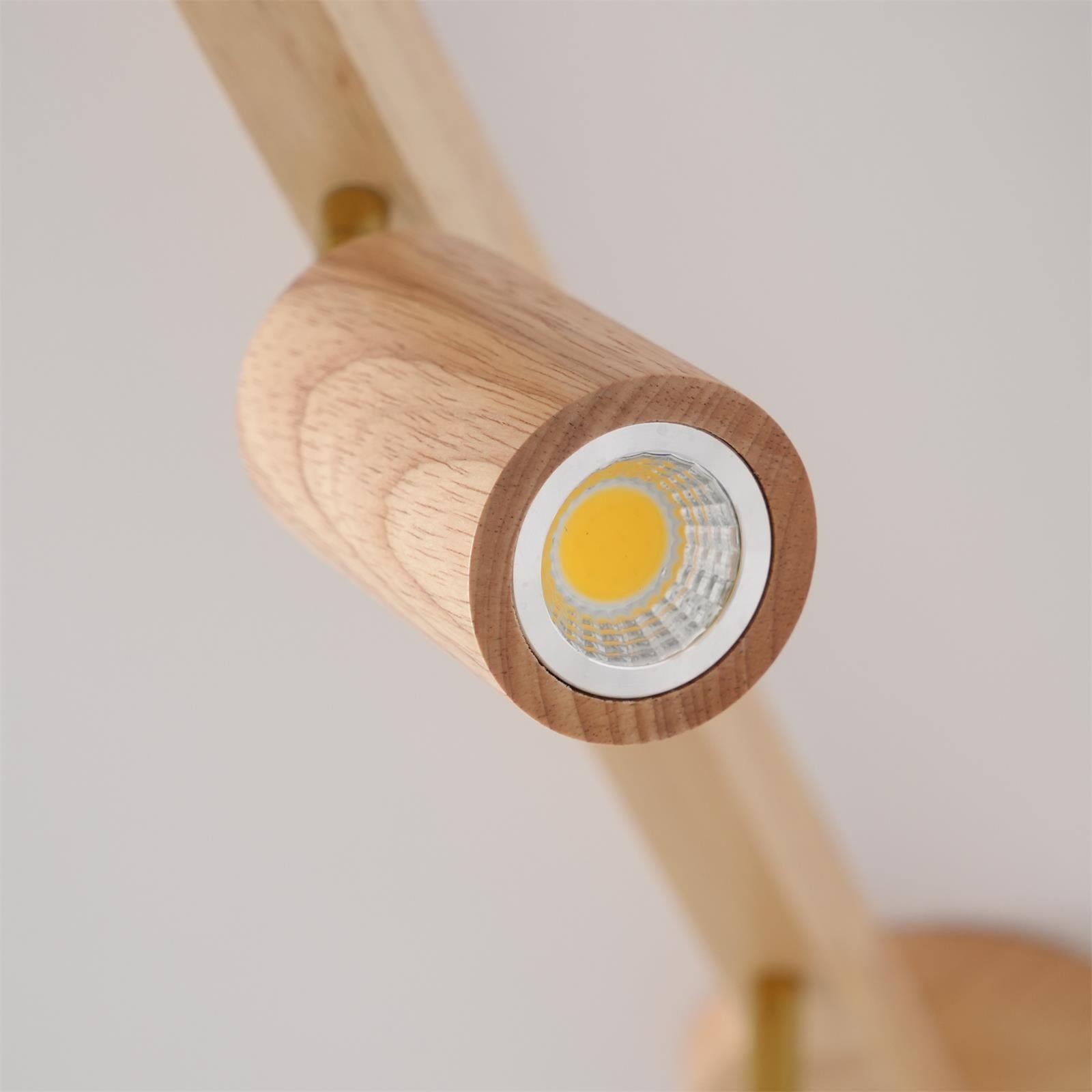 Sonir Ceiling Light