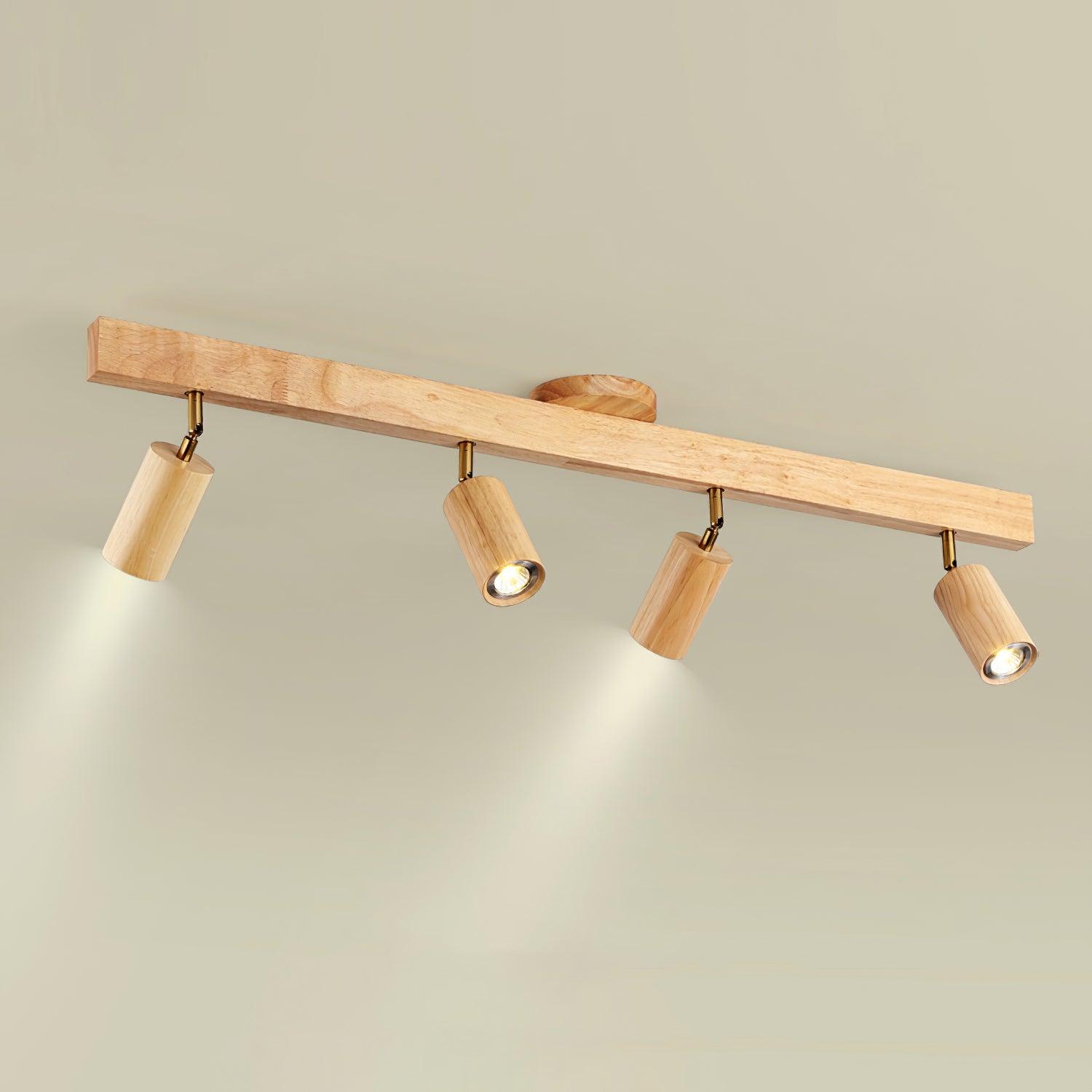 Sonir Ceiling Light