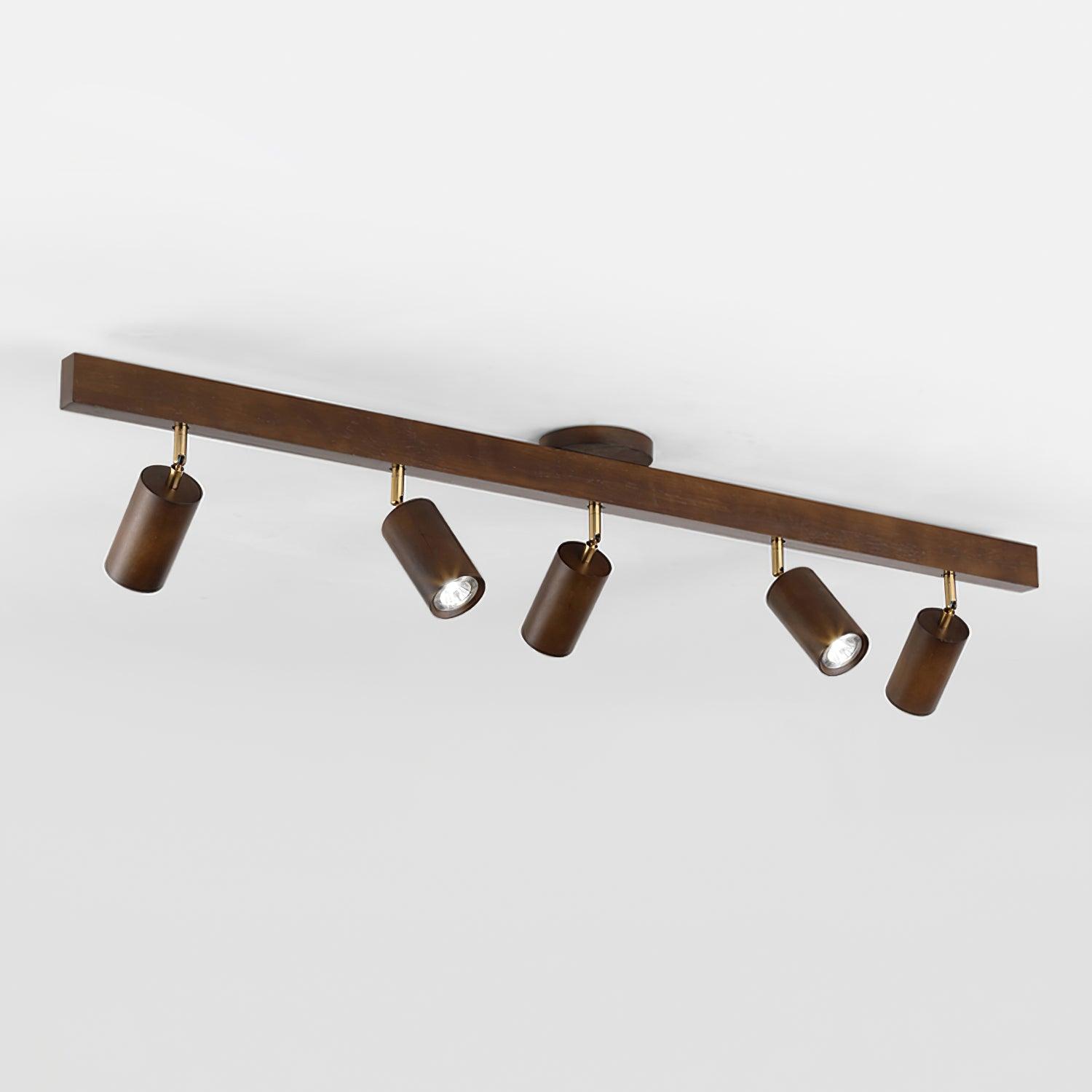 Sonir Ceiling Light