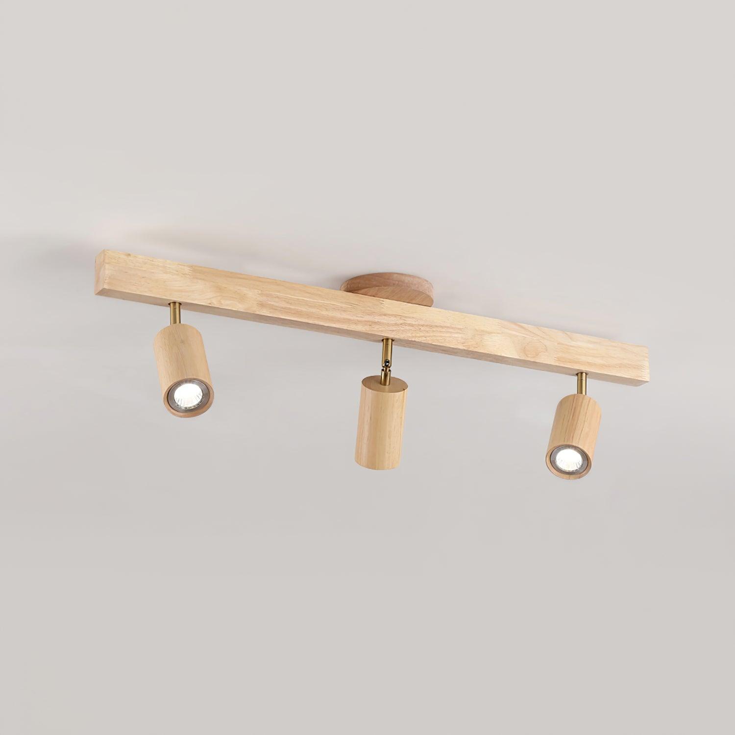 Sonir Ceiling Light