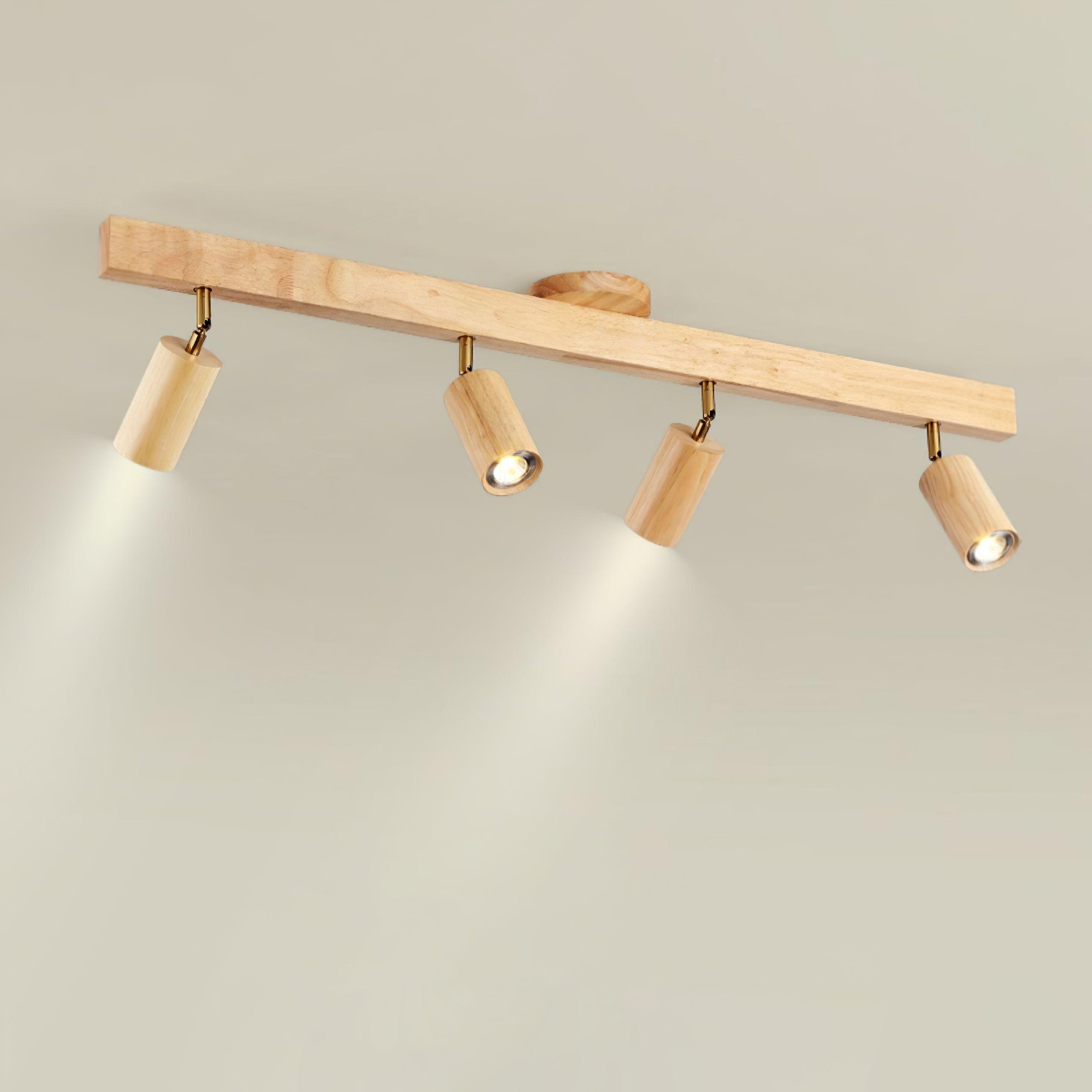 Sonir Ceiling Light