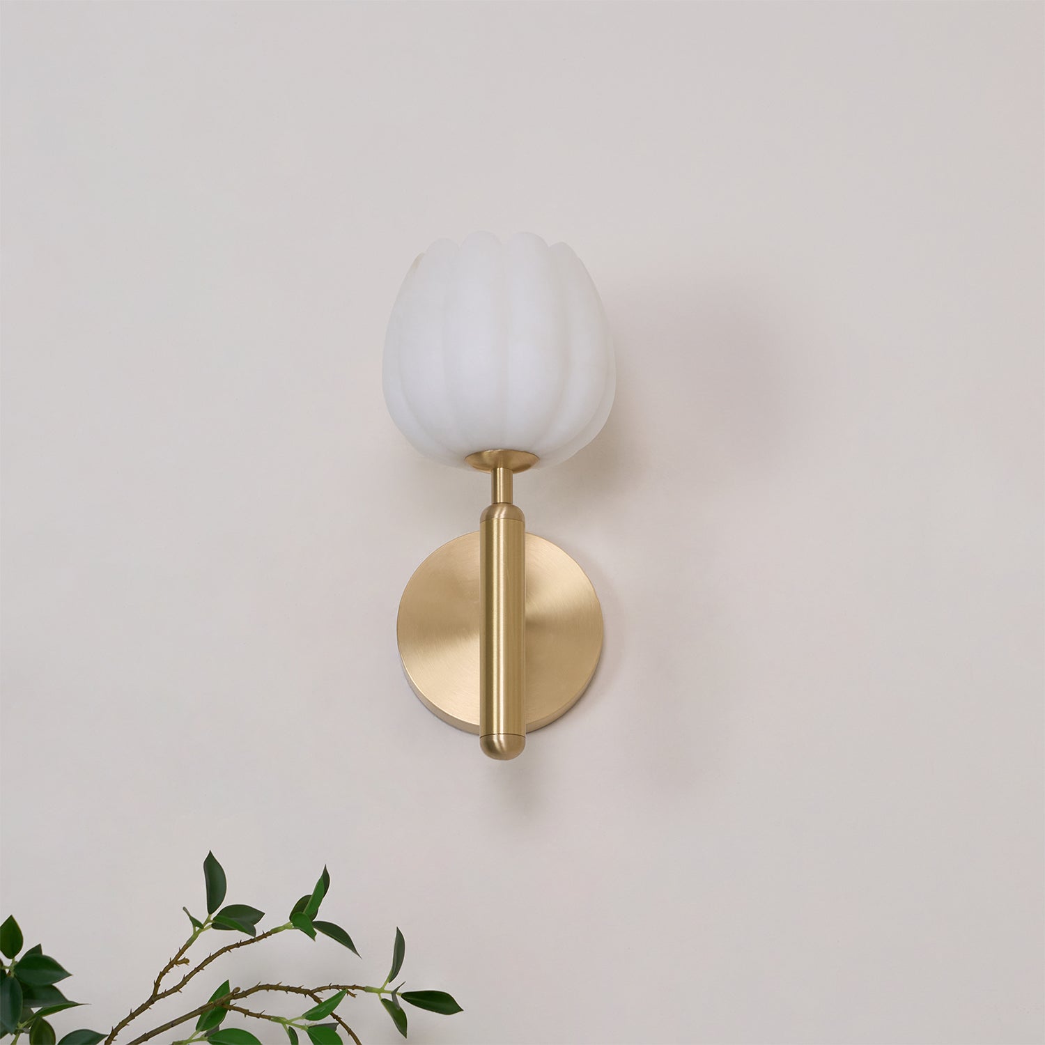 Rerpando Wall Light