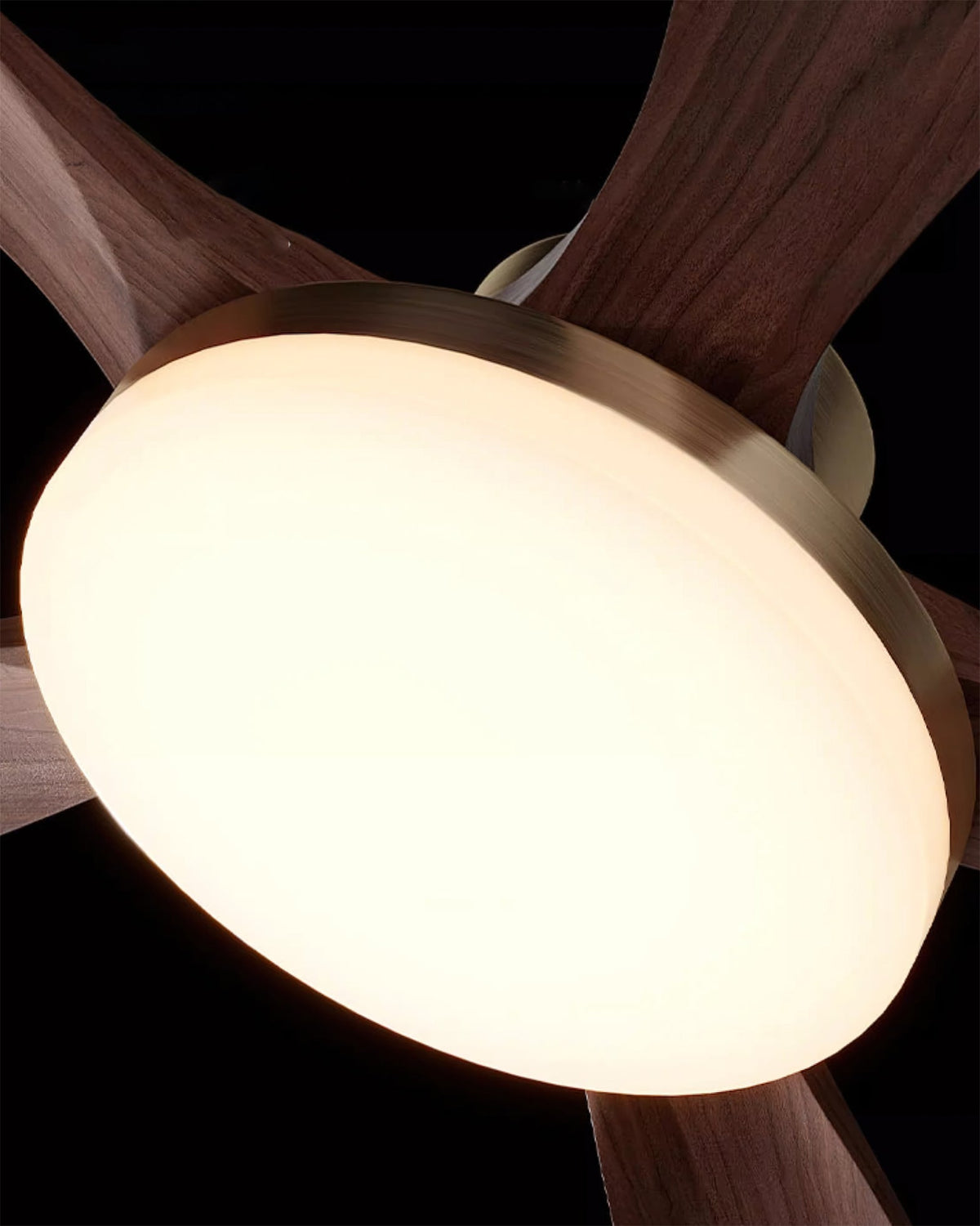 Tecavor Modern Ceiling Fan