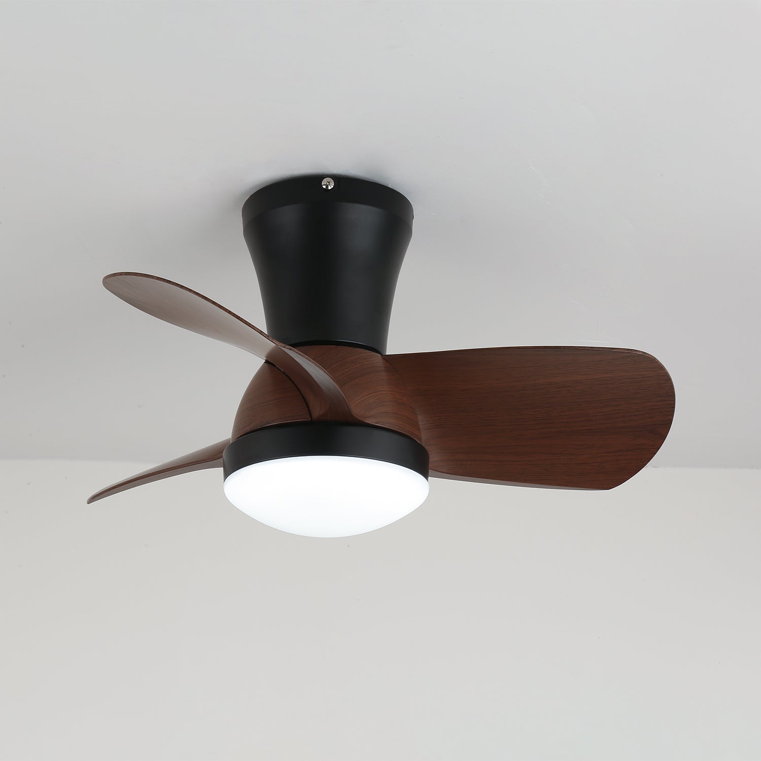 Sreeva Ceiling Fan Light