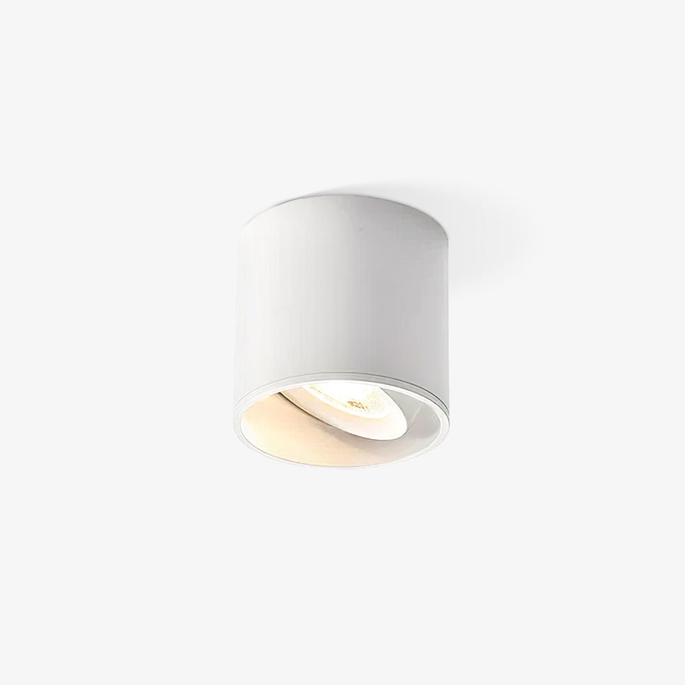 Ulro Ceiling Light
