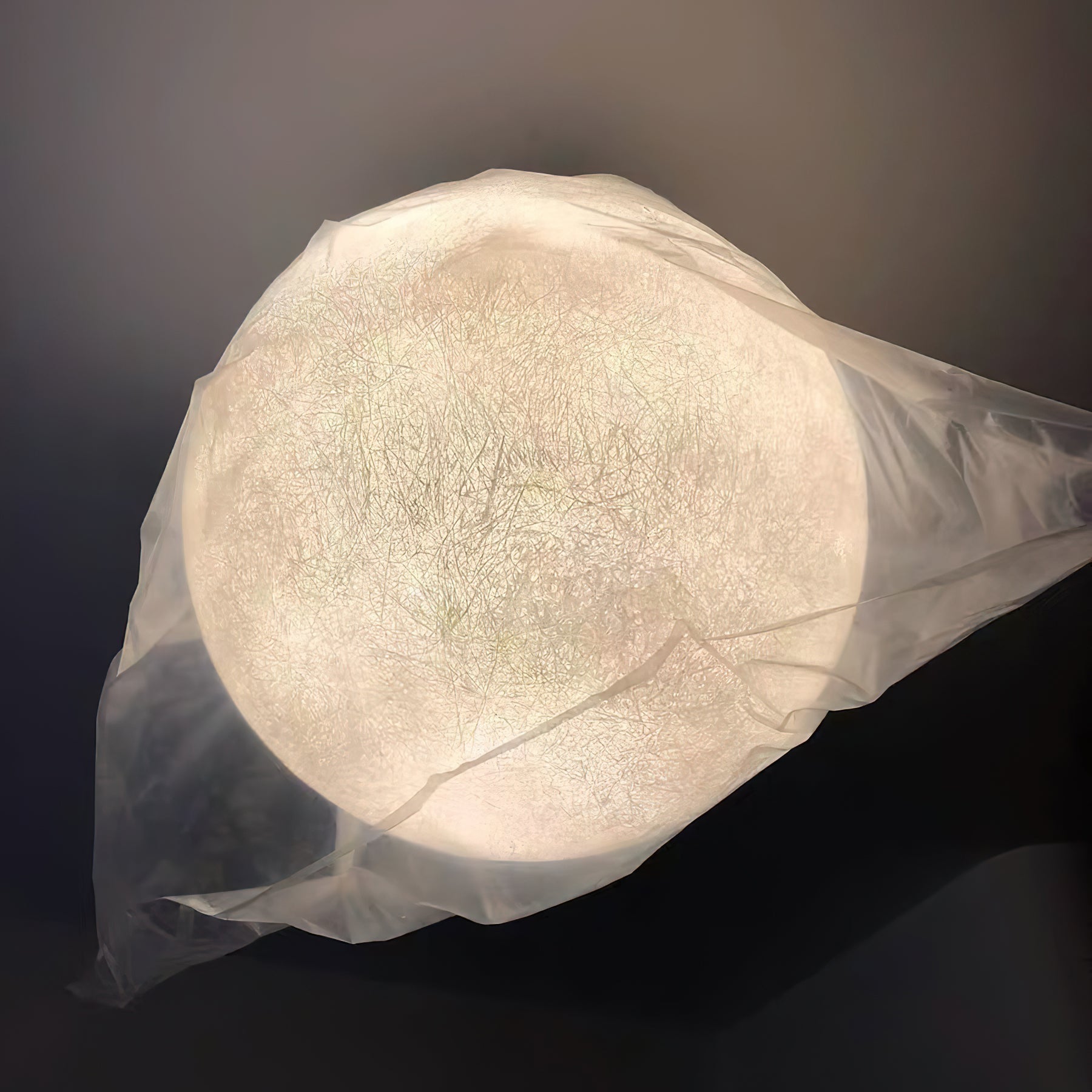 Hubelora Globe Pendant Light