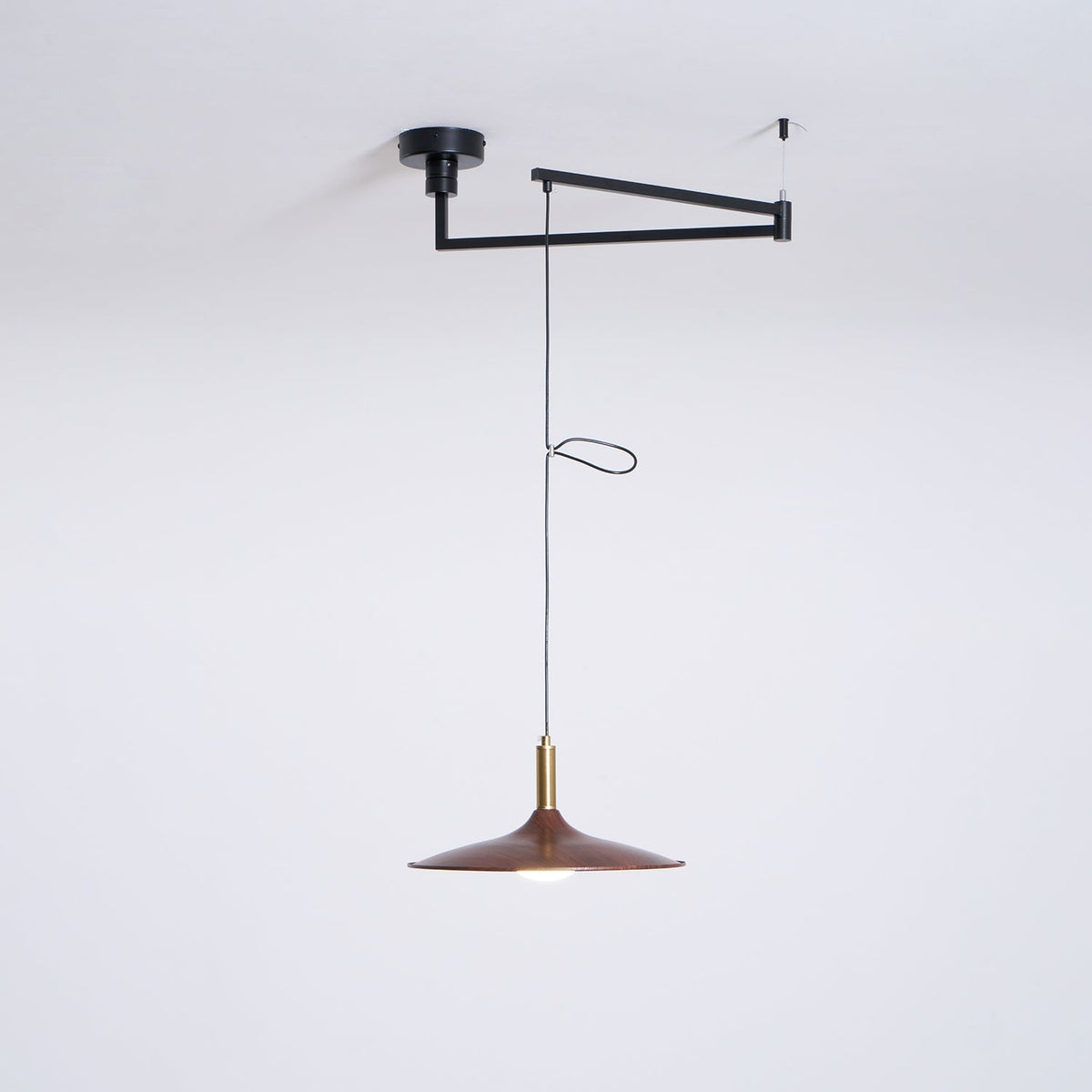Oravor Articulated Pendant Light