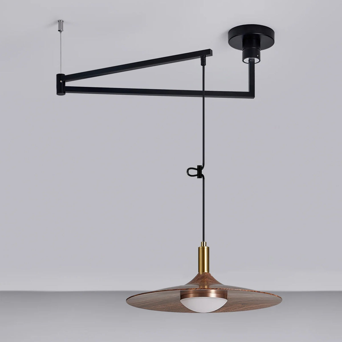 Oravor Articulated Pendant Light
