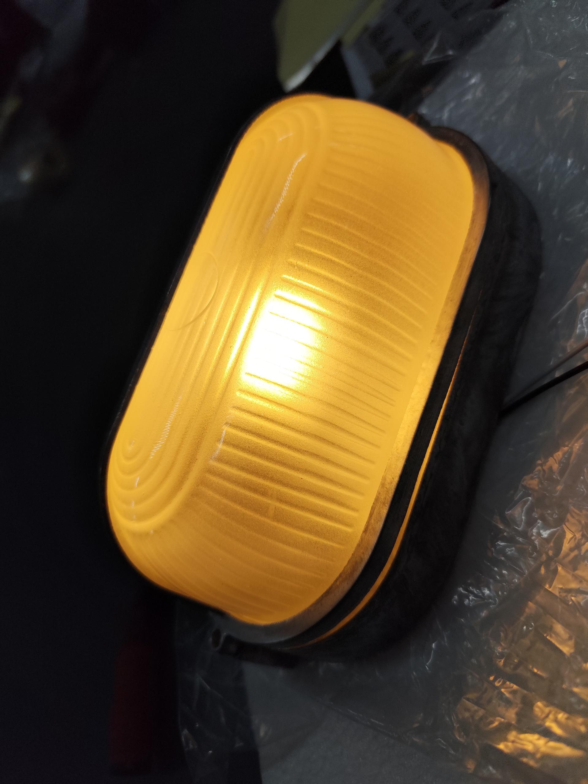 Aroni Outdoor Wall Light