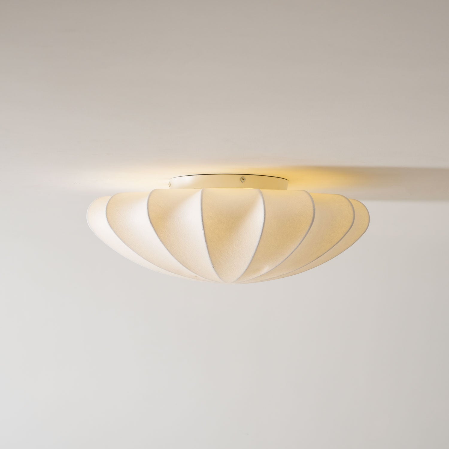Selfon Ceiling Light