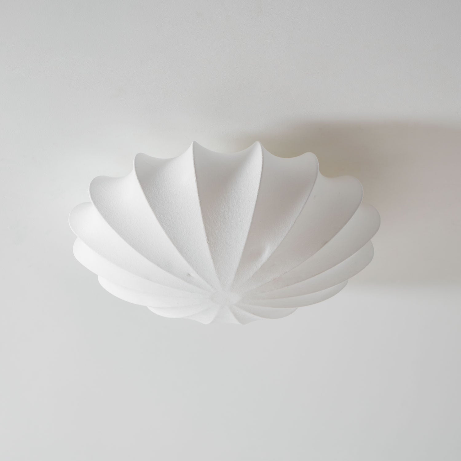 Selfon Ceiling Light