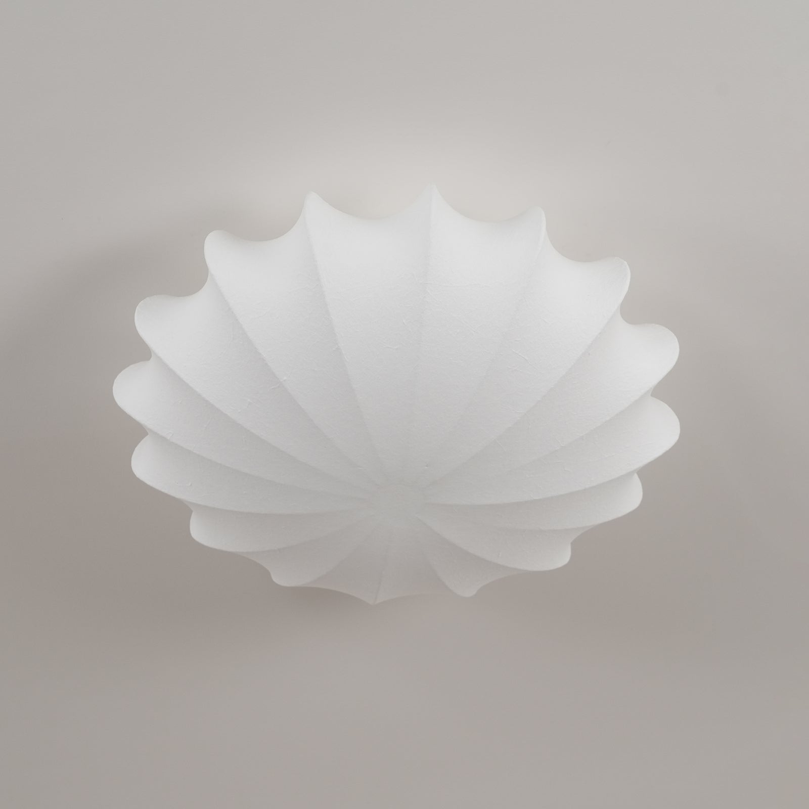 Lenna Selron Ceiling Light