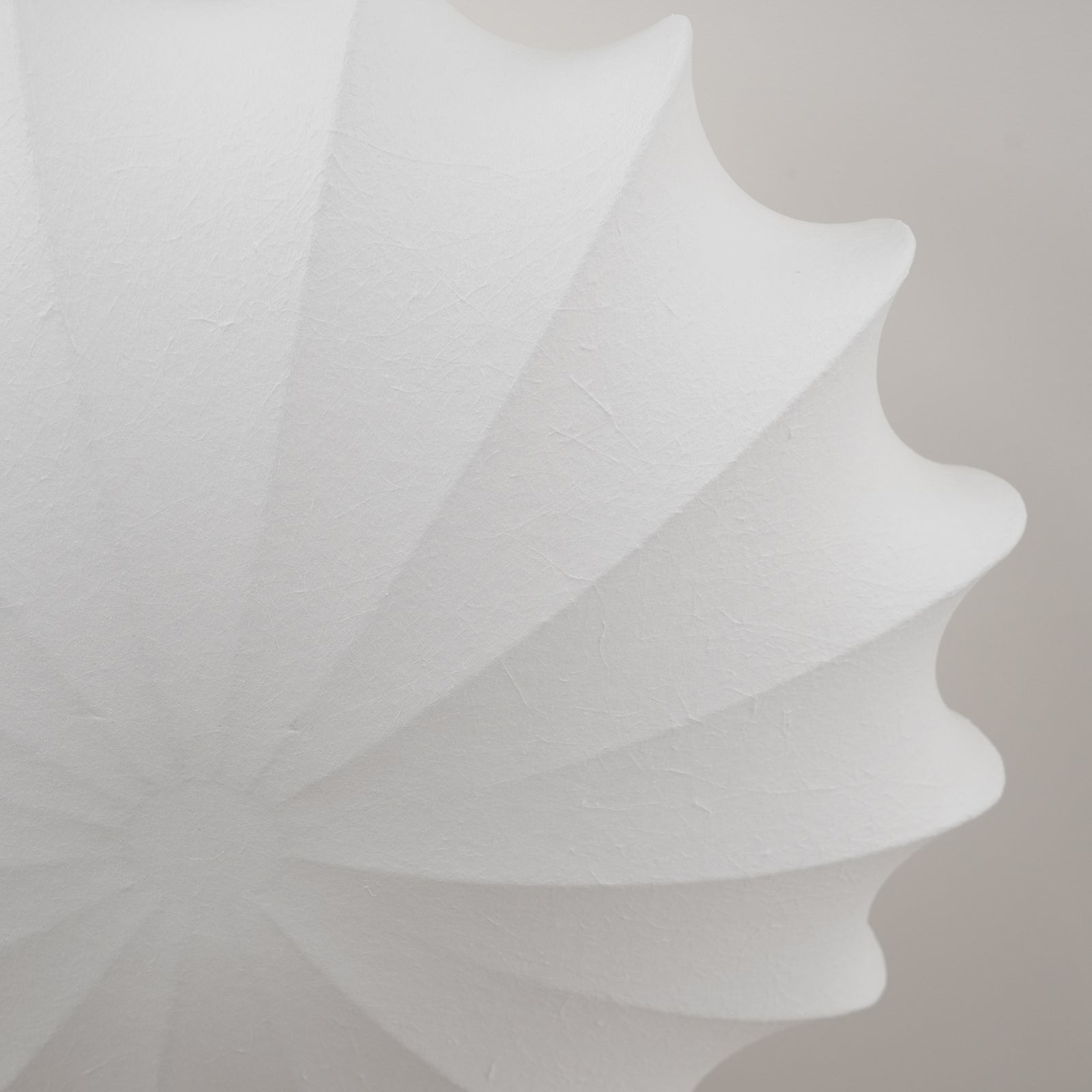 Lenna Selron Ceiling Light