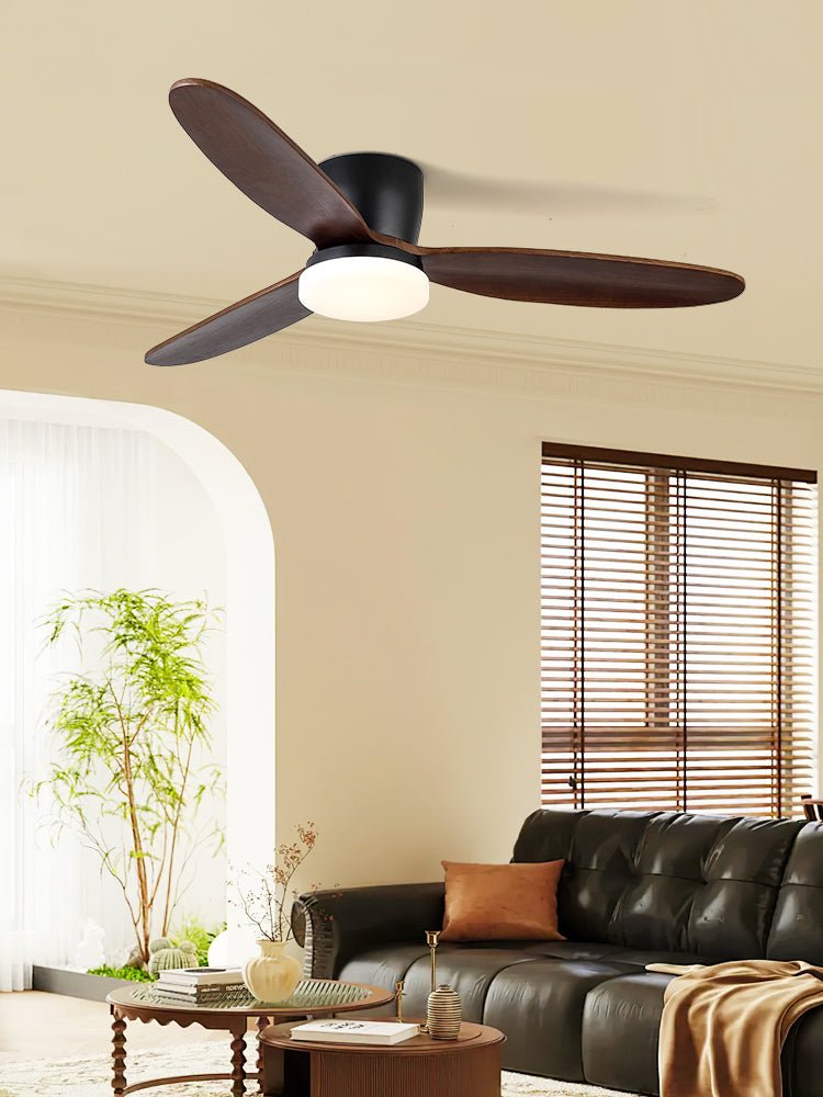 Norea Ceiling Fan Light