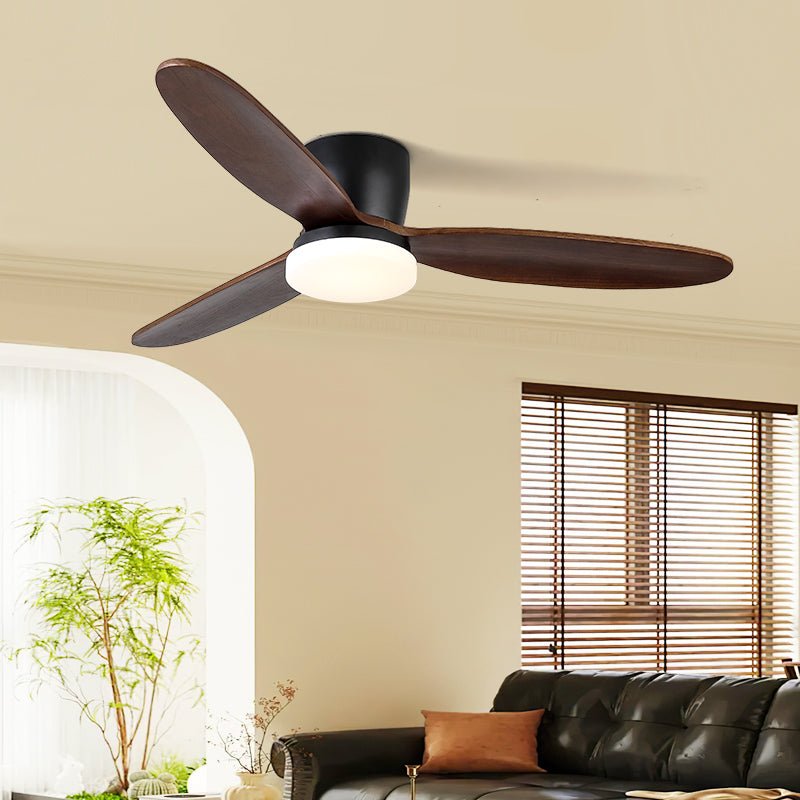 Norea Ceiling Fan Light