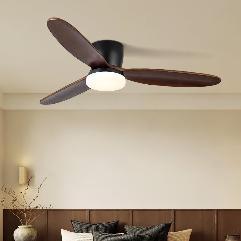 Norea Ceiling Fan Light