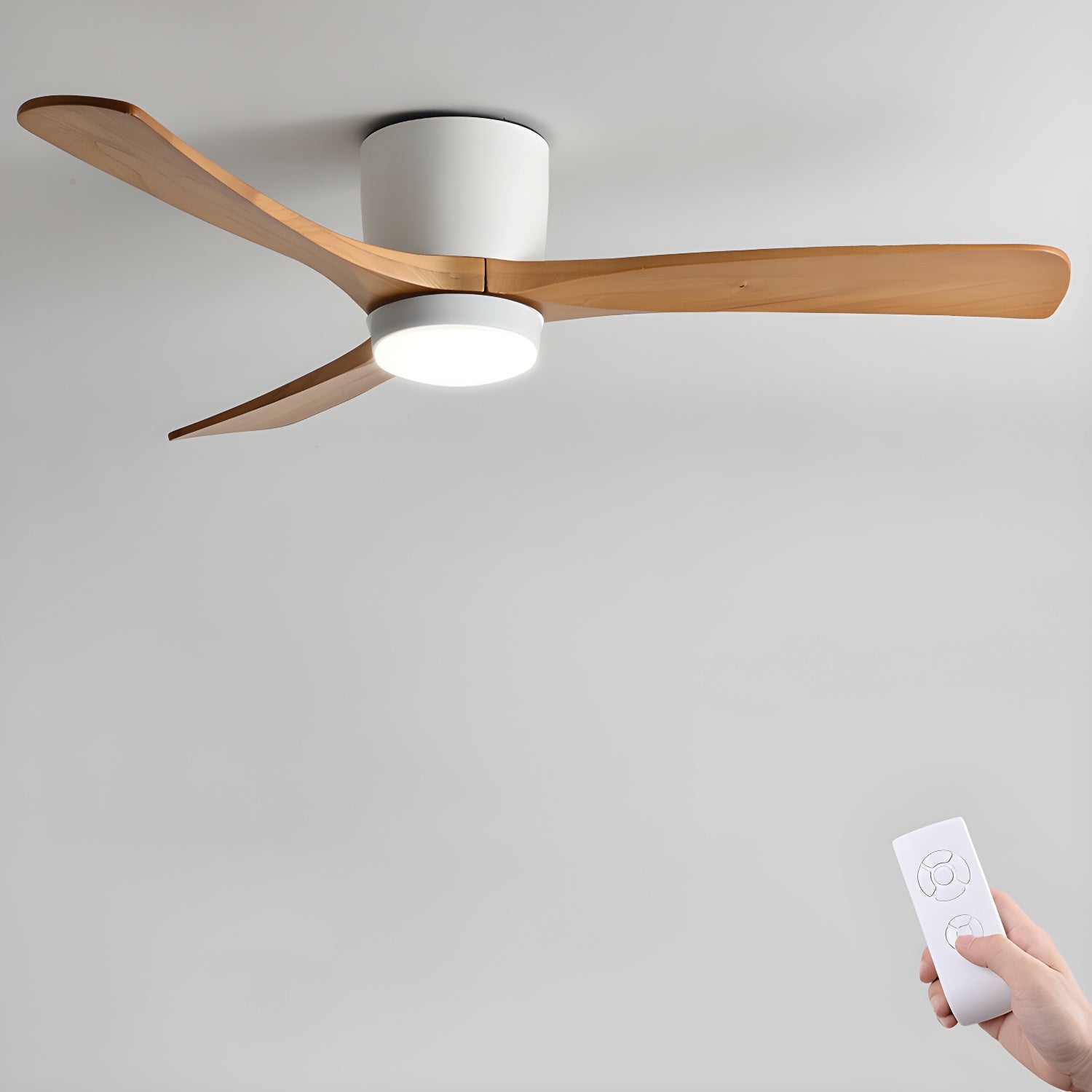 Evral Ceiling Fan