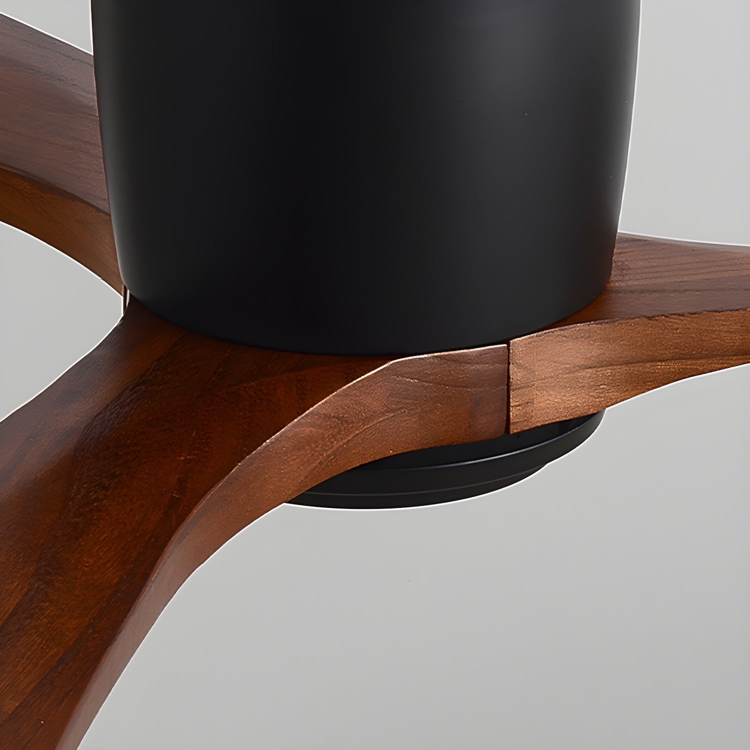 Evral Ceiling Fan