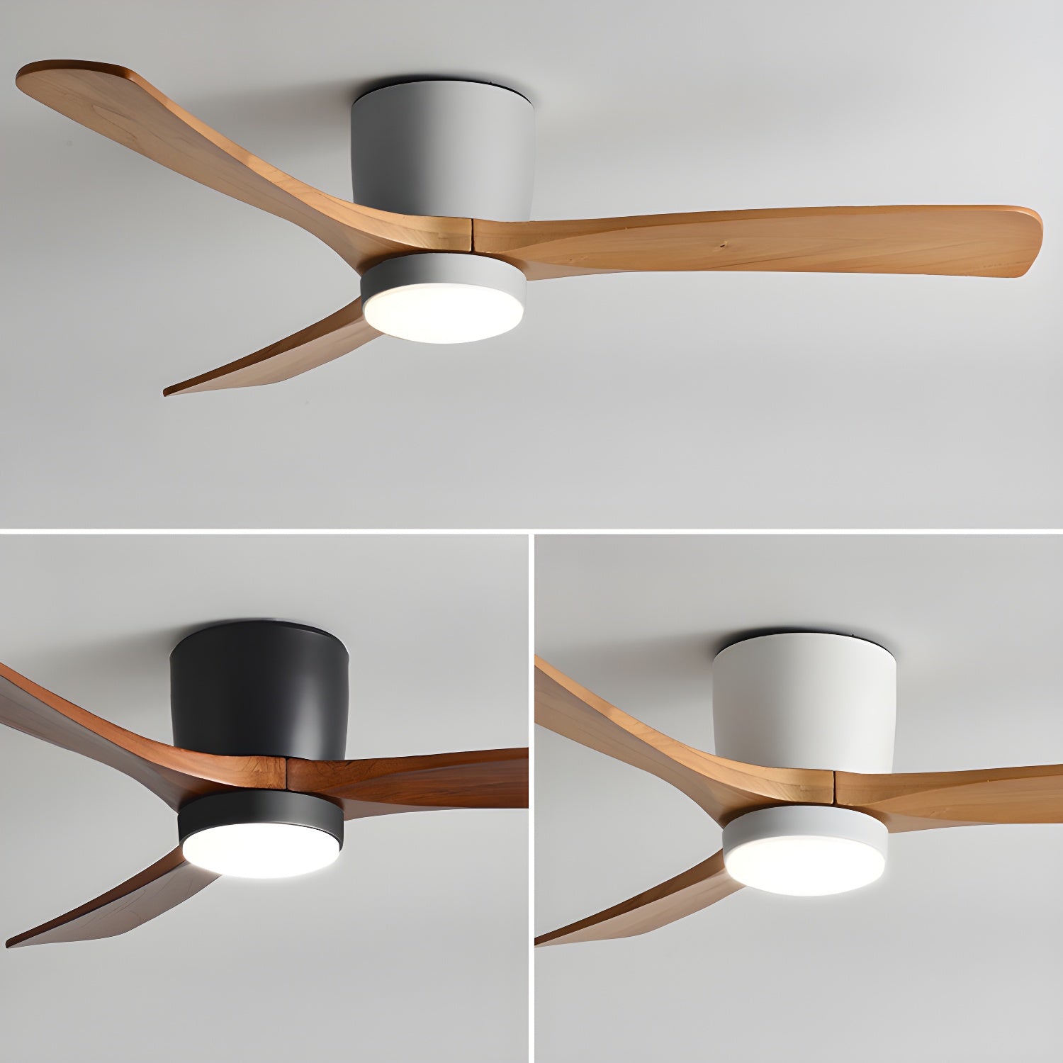 Evral Ceiling Fan