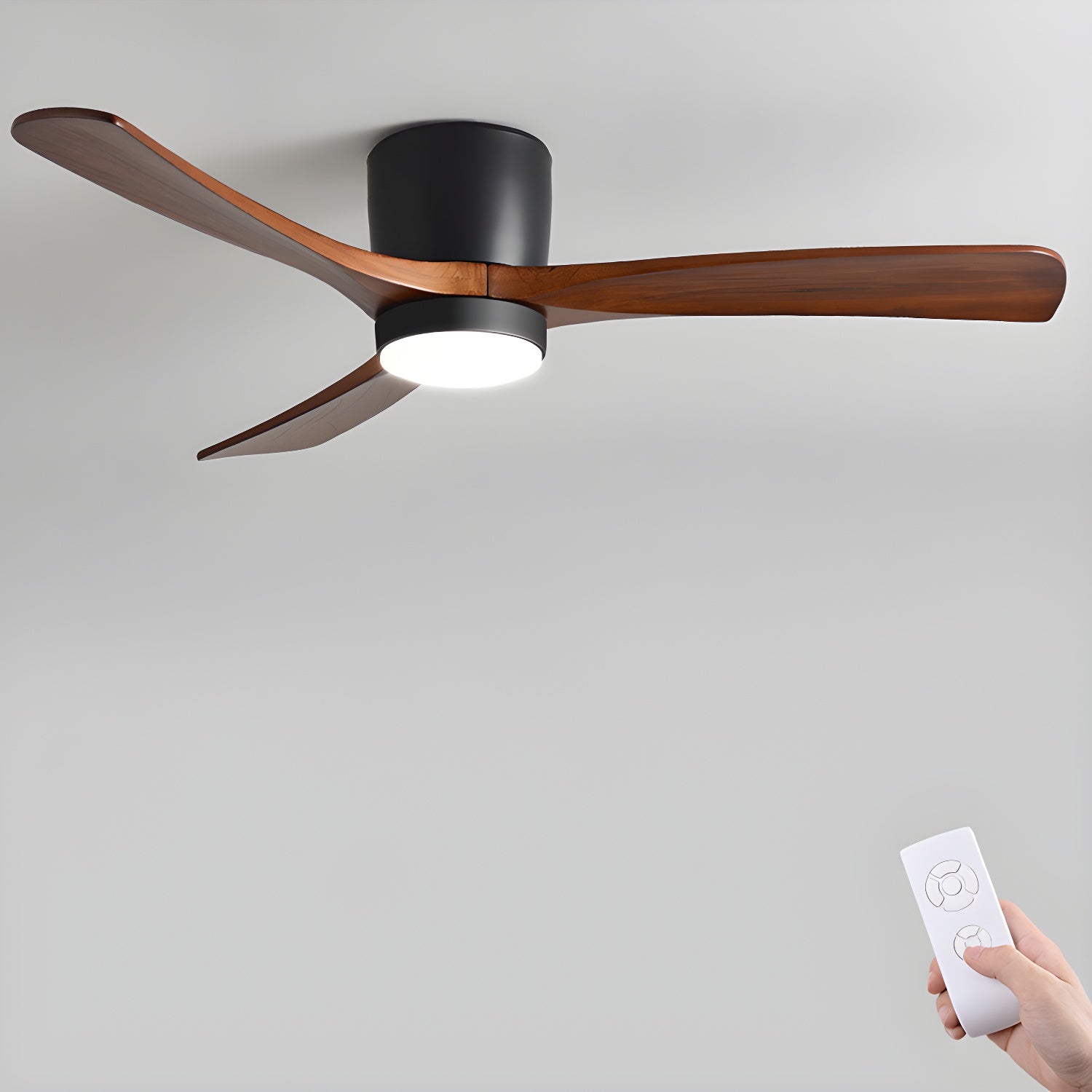 Evral Ceiling Fan