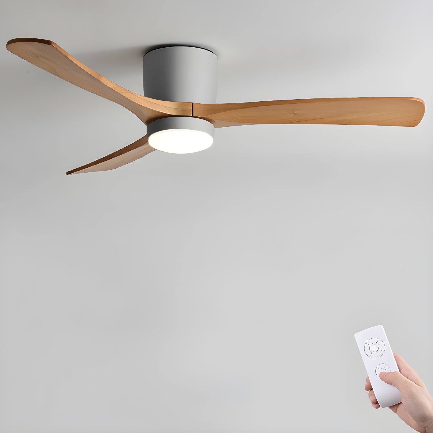 Evral Ceiling Fan