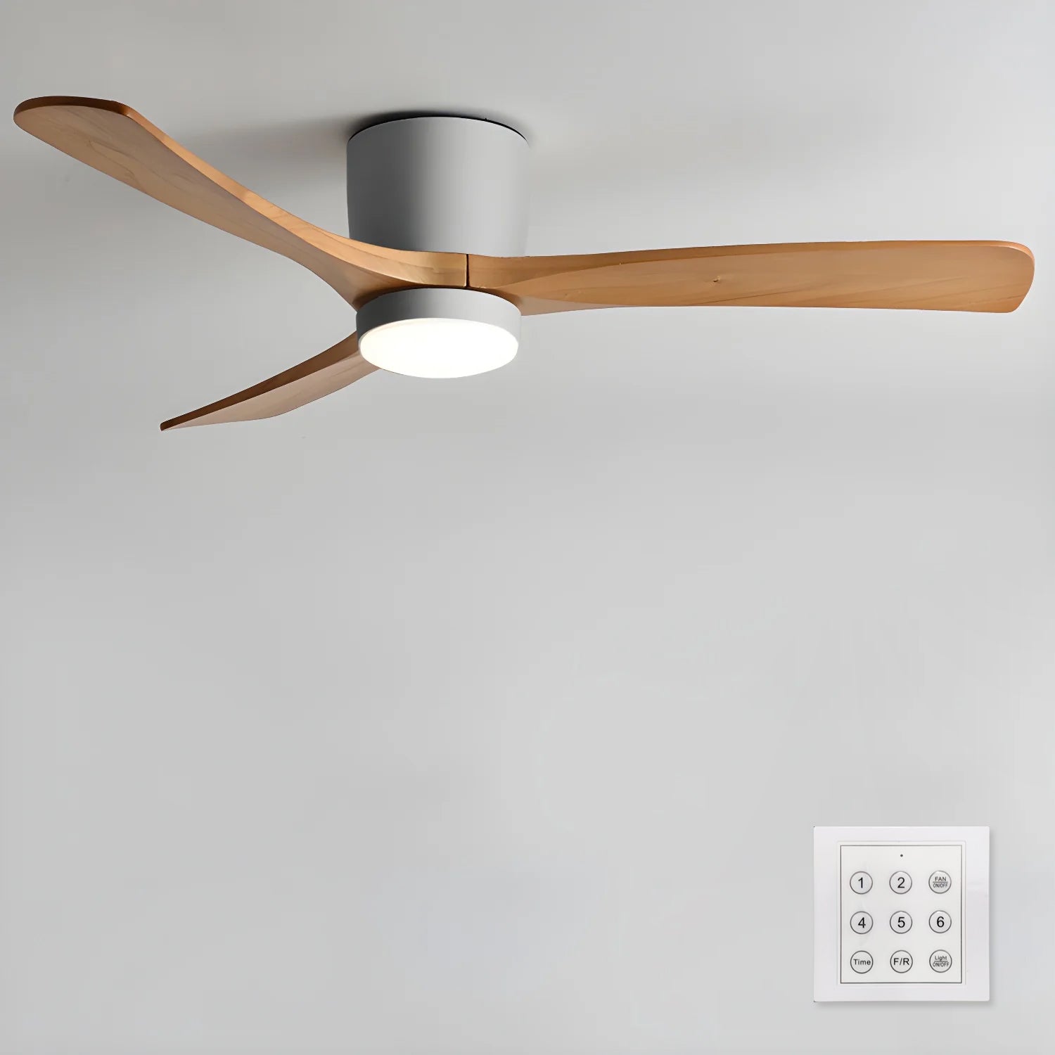 Evral Ceiling Fan
