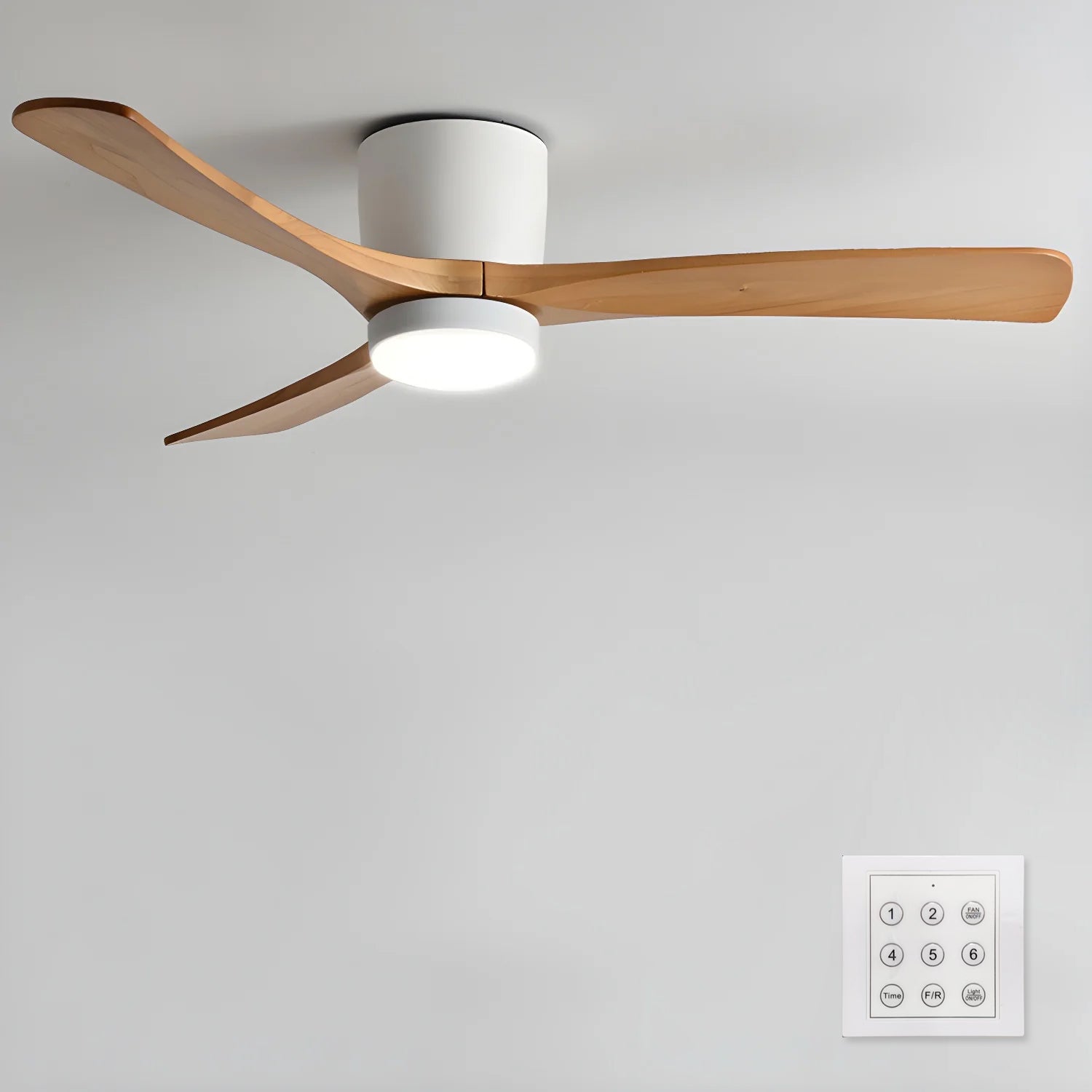 Evral Ceiling Fan