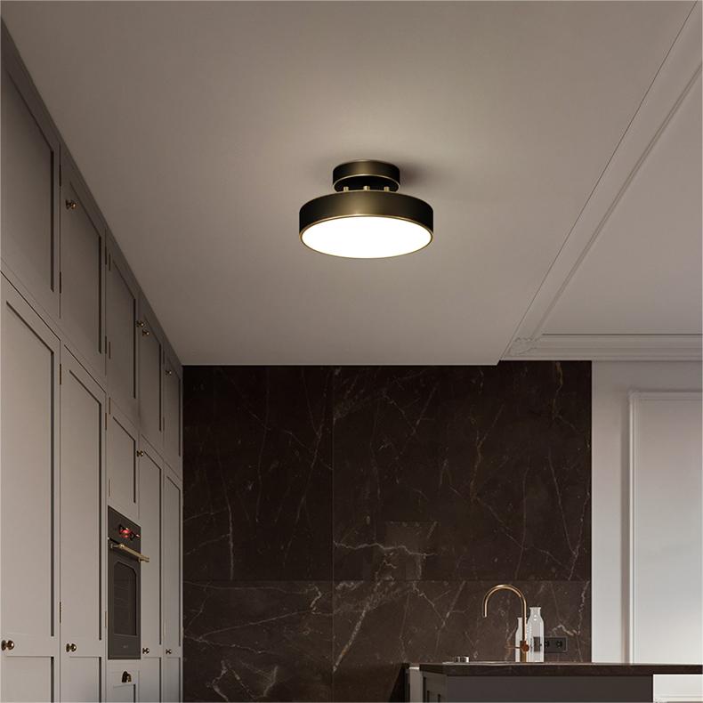 Nisao Ceiling Light