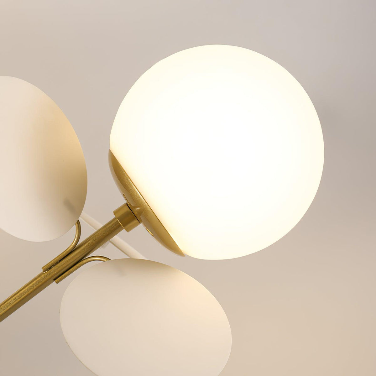 Debel Modern Chandelier
