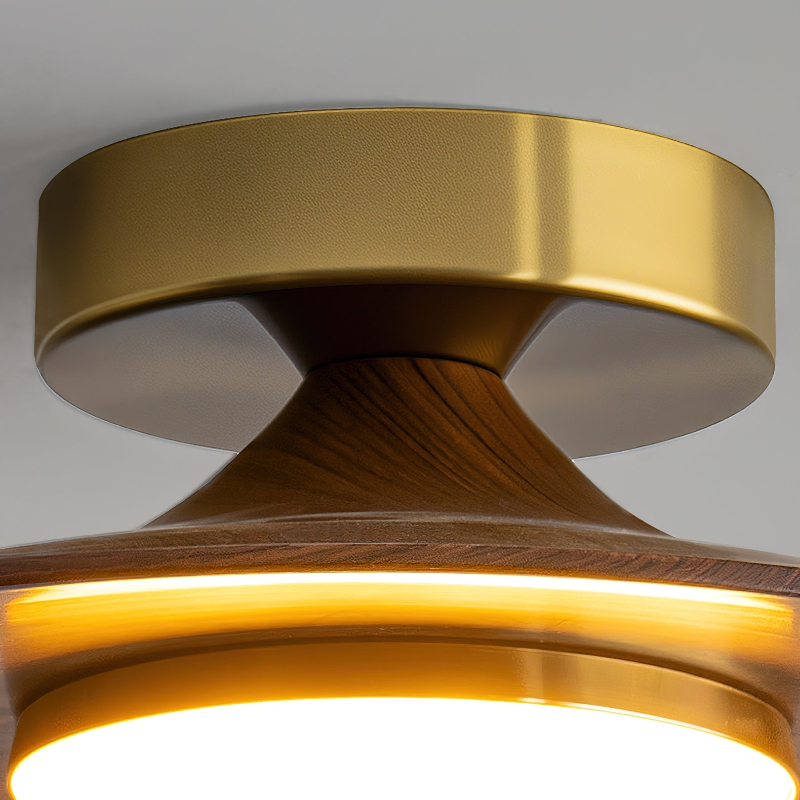 Olanon Round Ceiling Light
