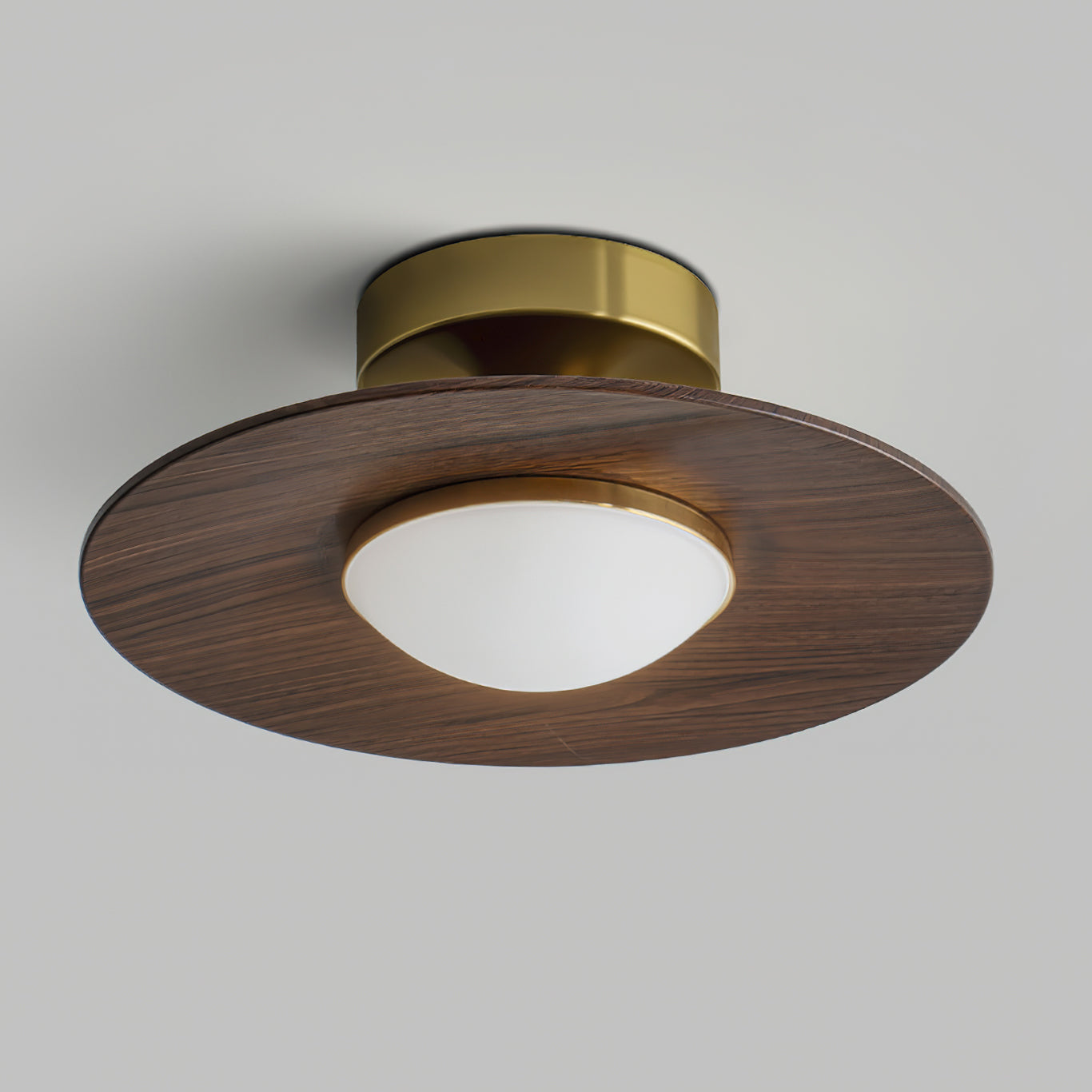 Olanon Round Ceiling Light