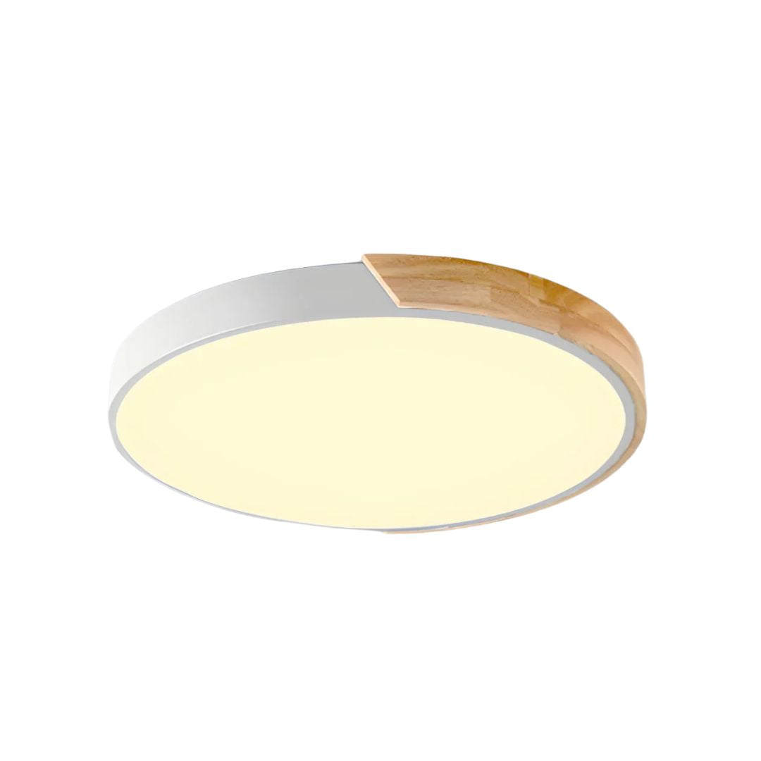 Selvon Round Ceiling Light