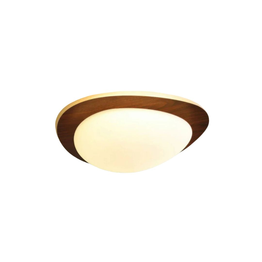 Leranor Ceiling Light