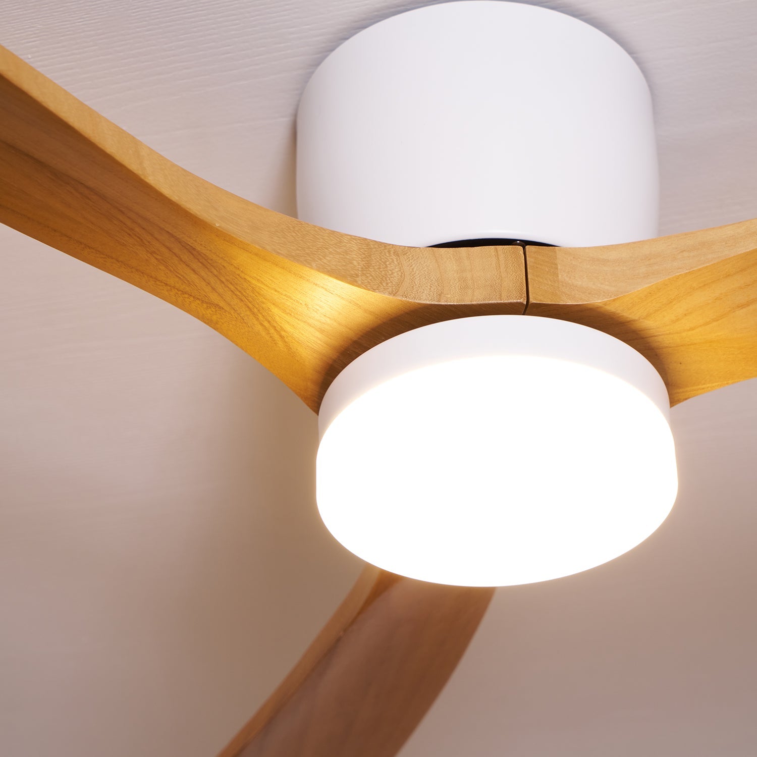 Evral Ceiling Fan