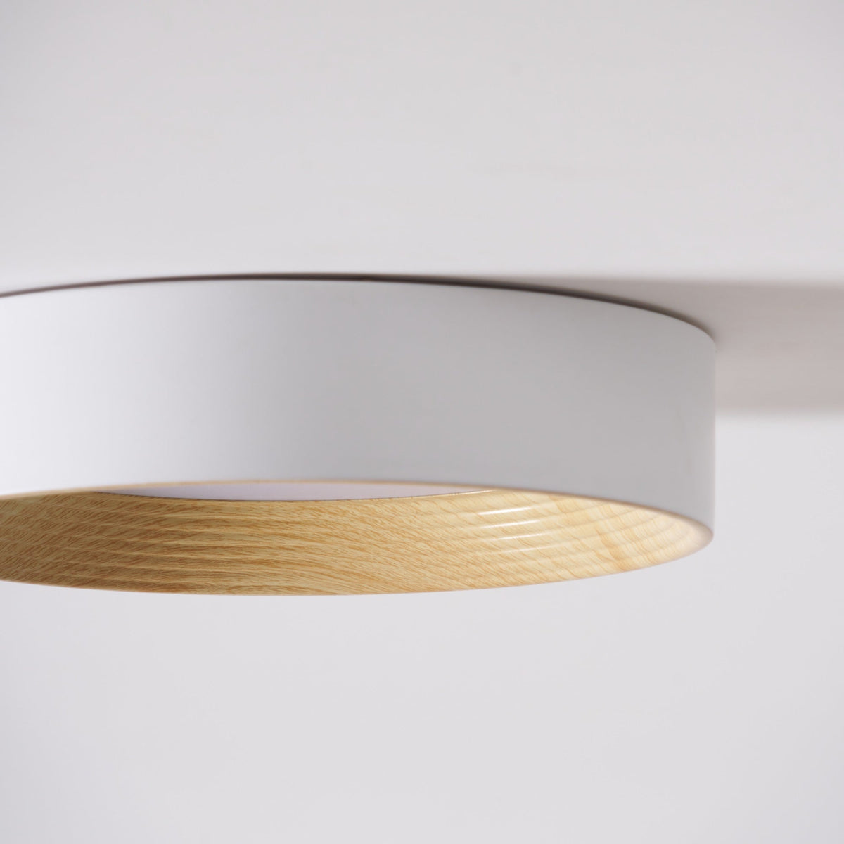 Gigon Round Ceiling Light