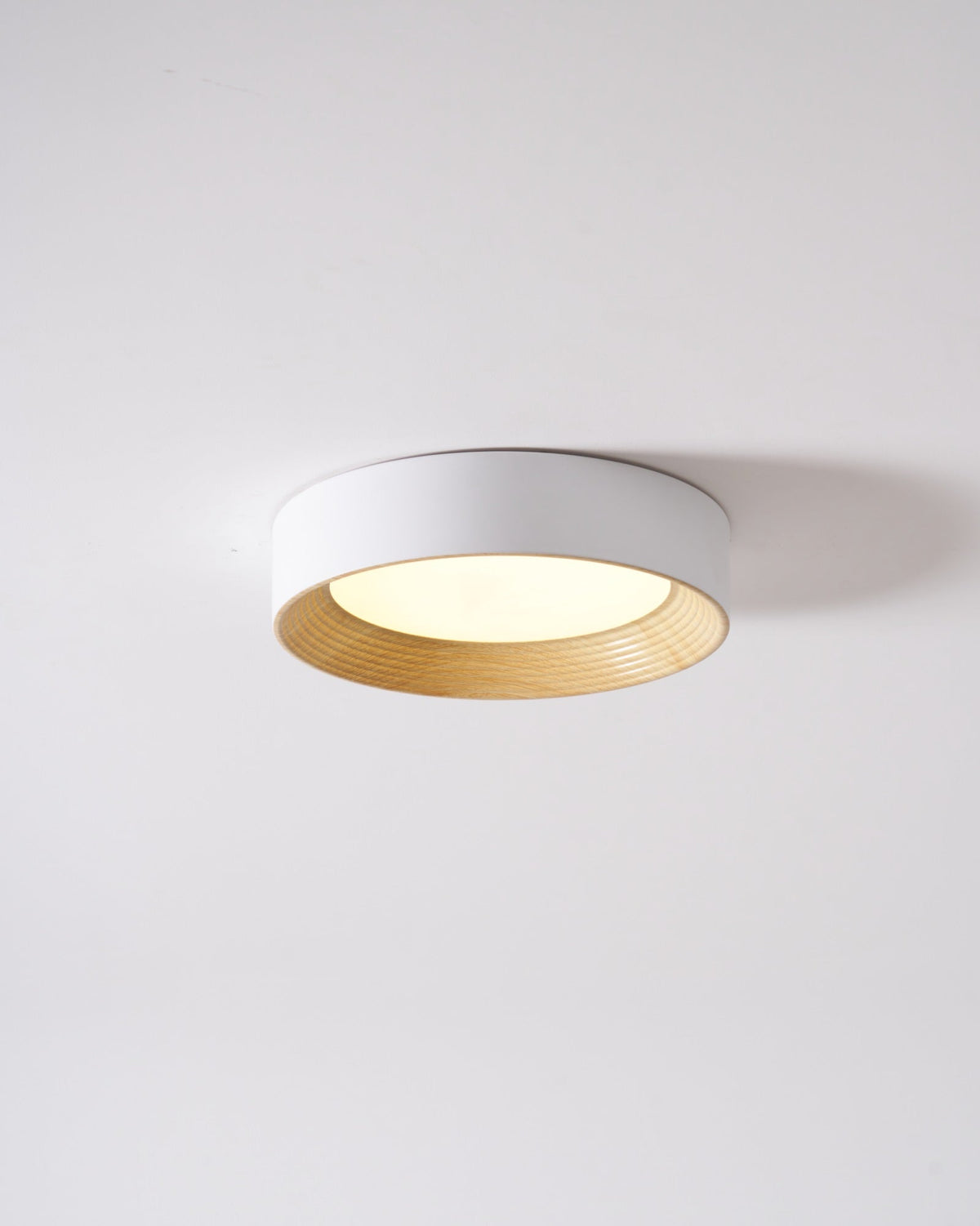 Gigon Round Ceiling Light