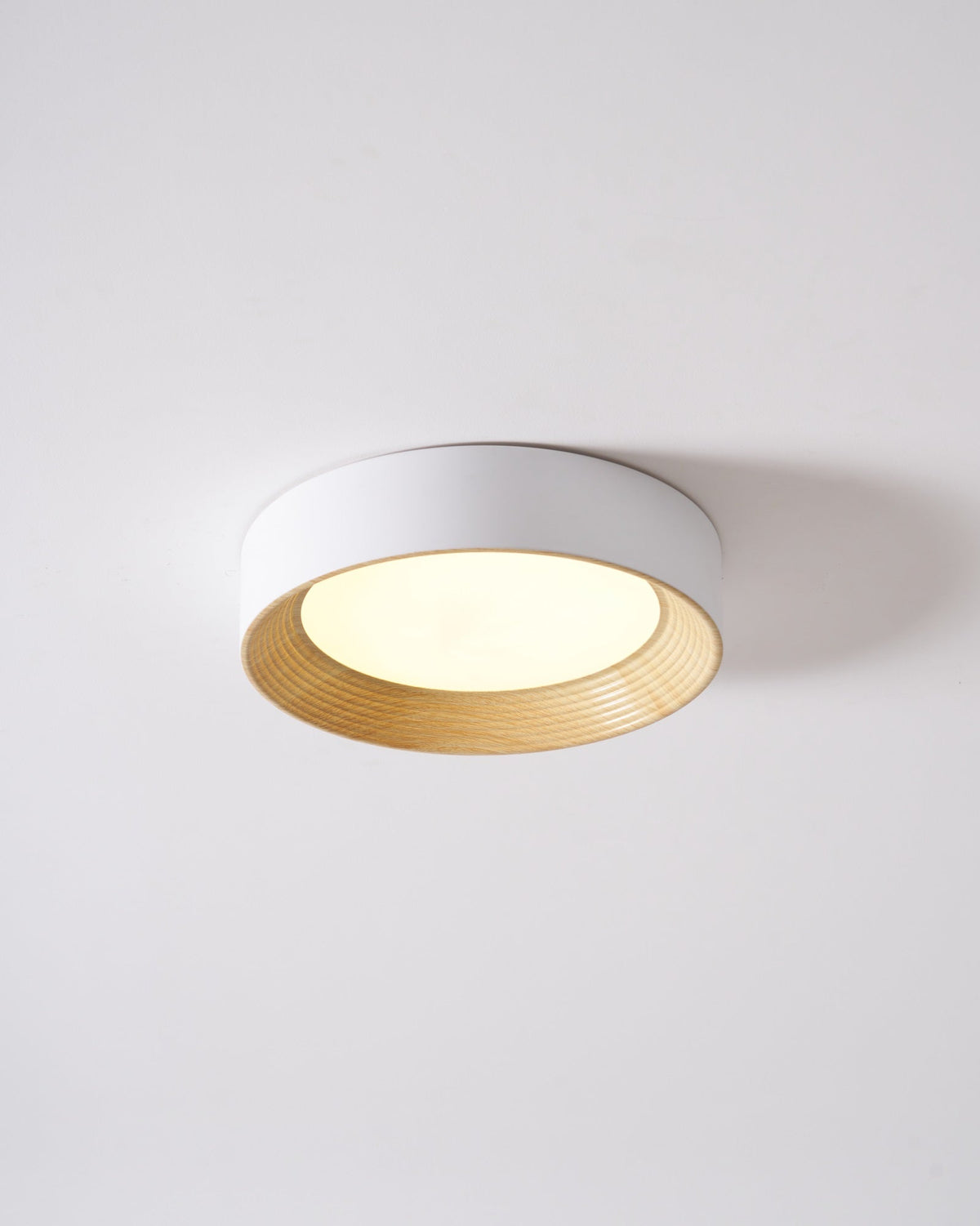 Gigon Round Ceiling Light