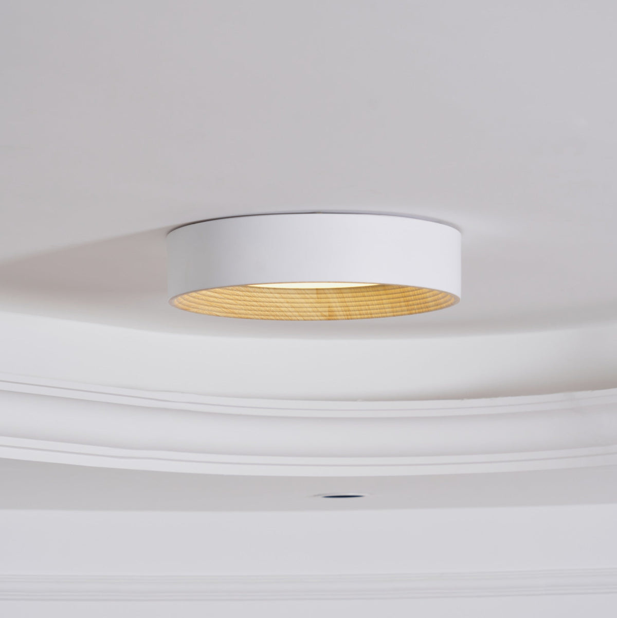 Gigon Round Ceiling Light