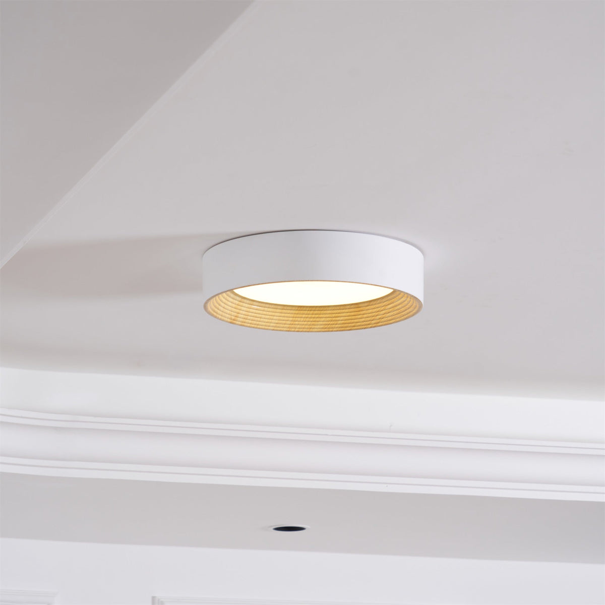 Gigon Round Ceiling Light