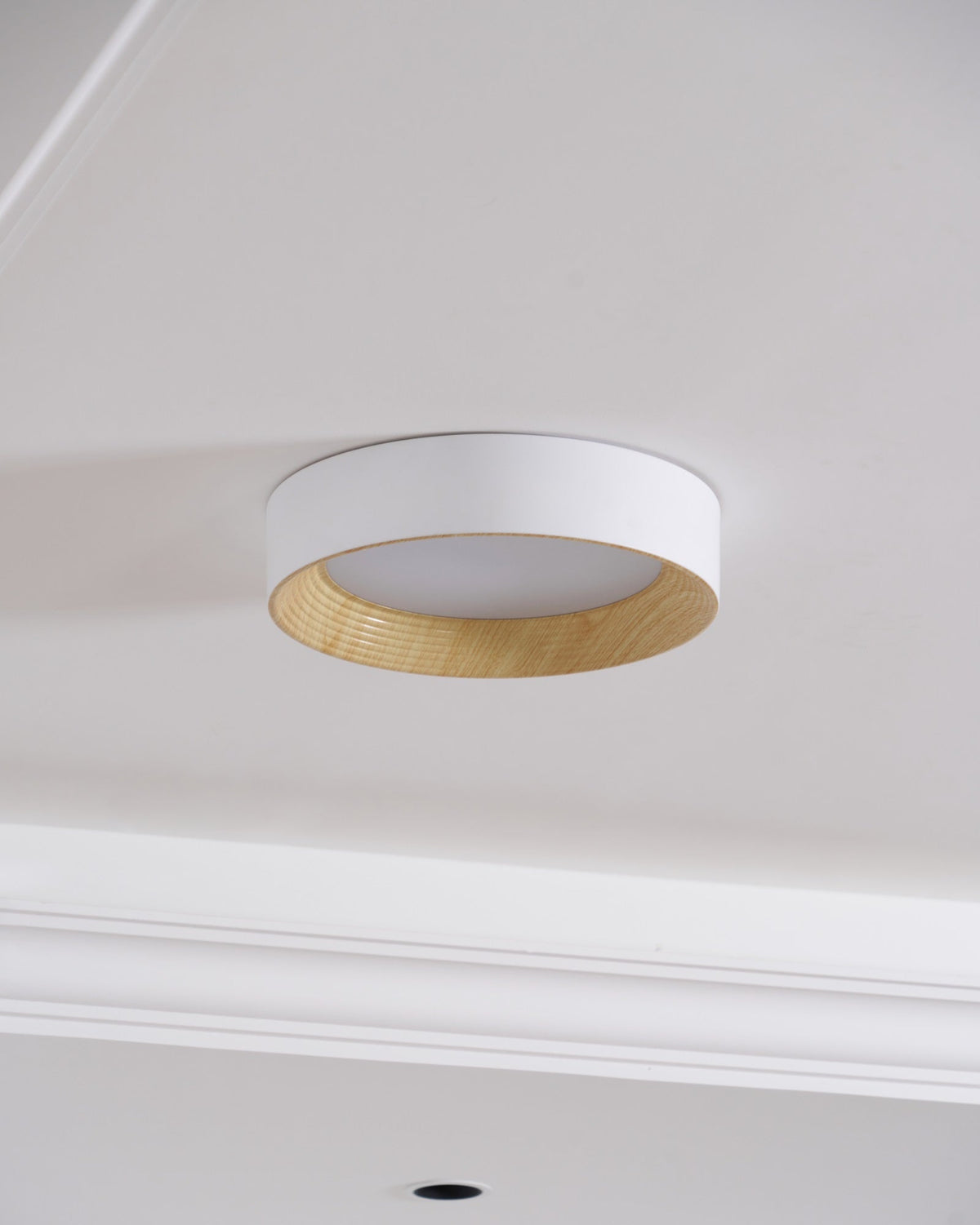 Gigon Round Ceiling Light