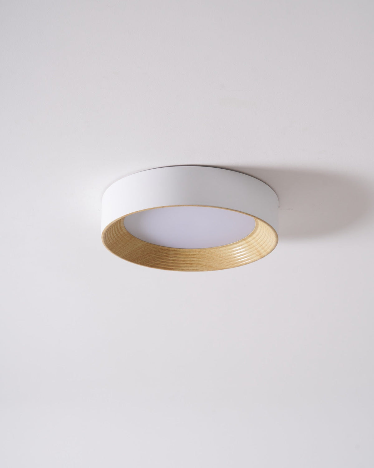 Gigon Round Ceiling Light