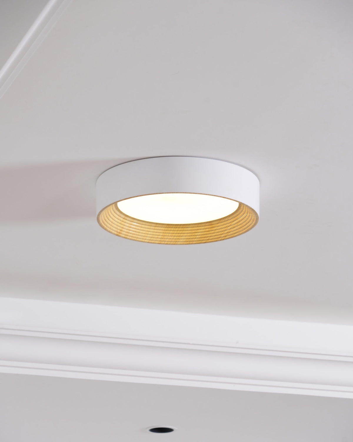 Gigon Round Ceiling Light