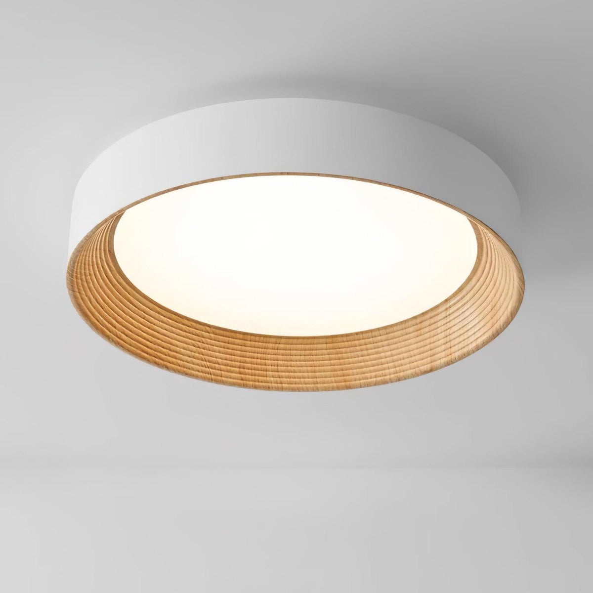 Gigon Round Ceiling Light