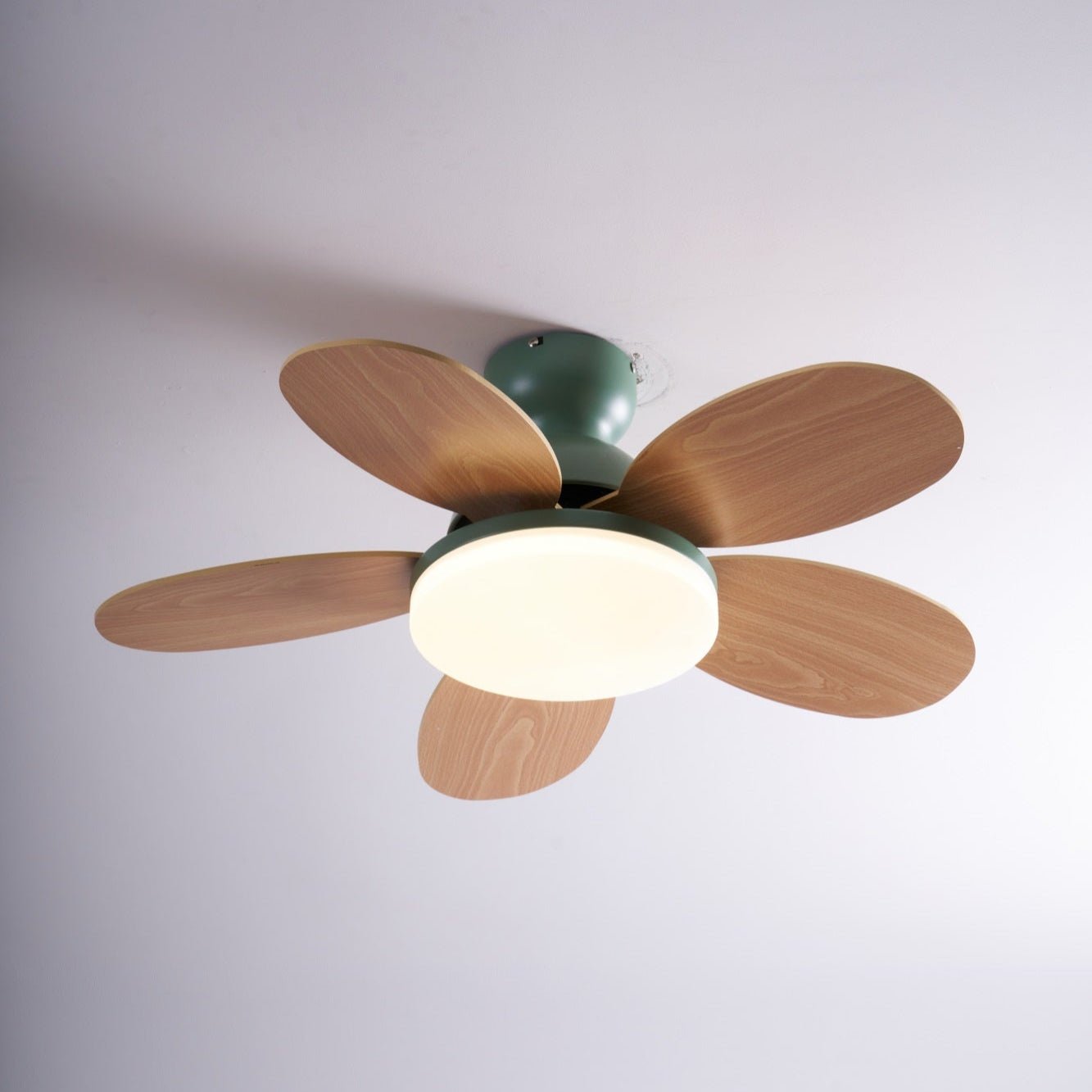 Qeslo Ceiling Fan