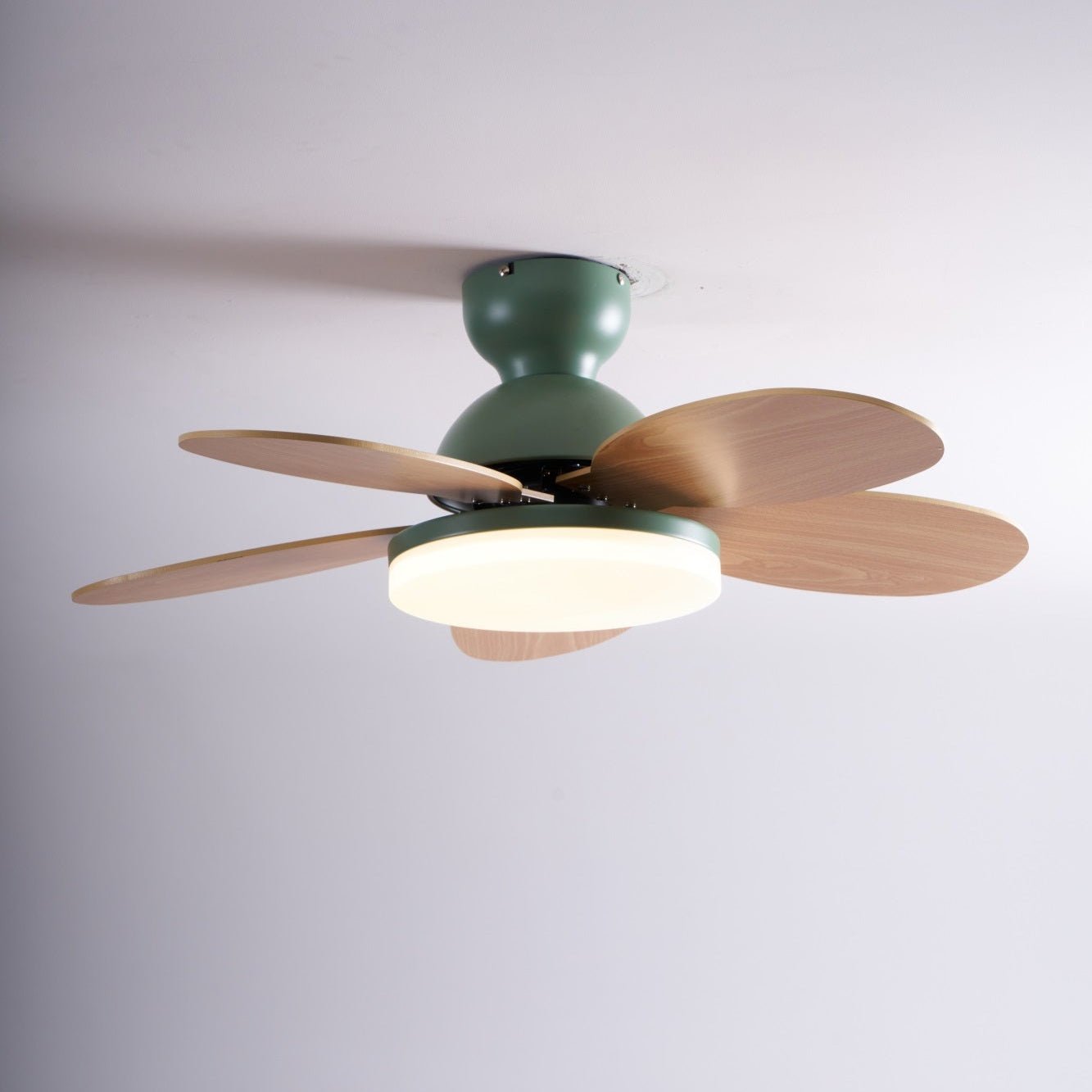 Qeslo Ceiling Fan