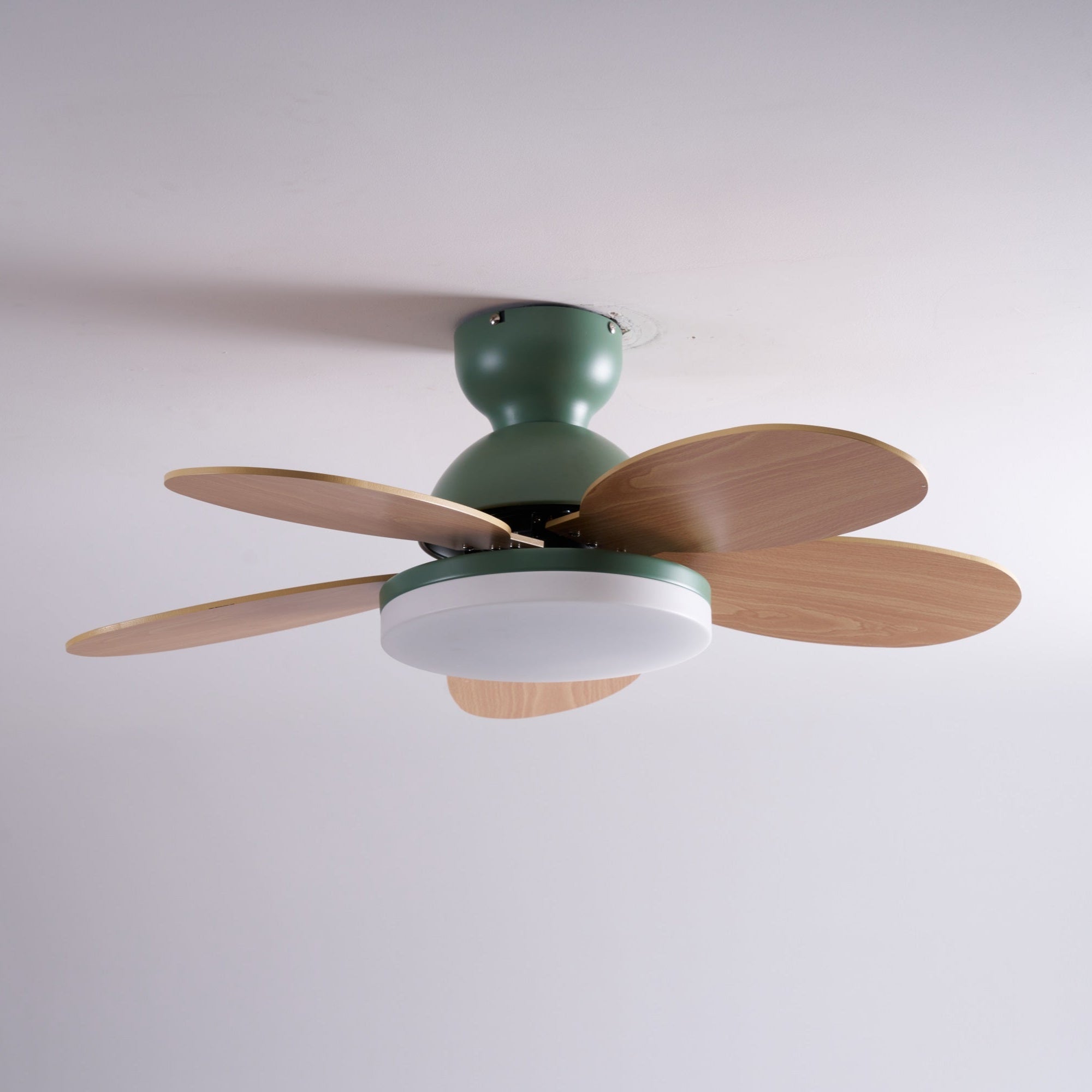 Qeslo Ceiling Fan