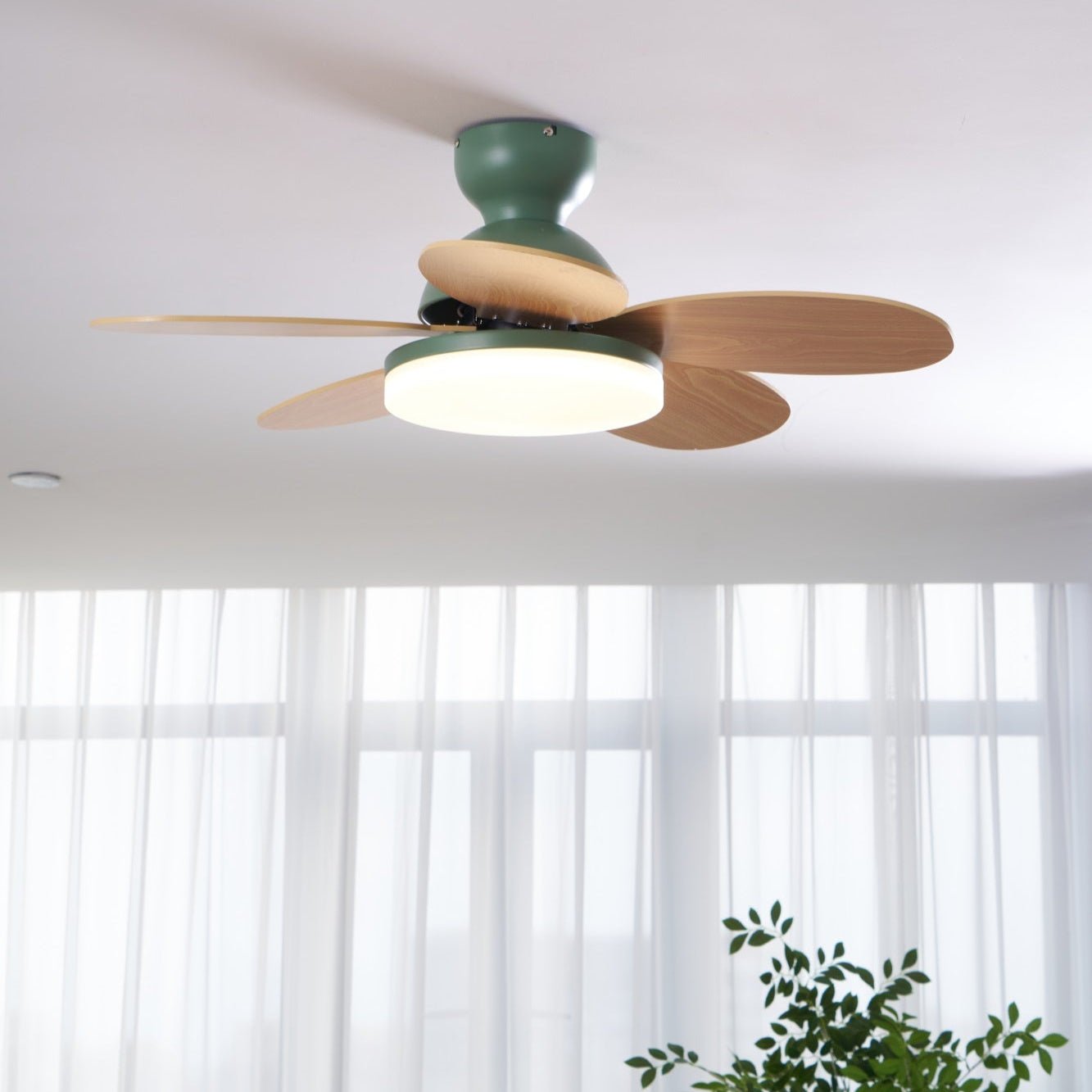 Qeslo Ceiling Fan