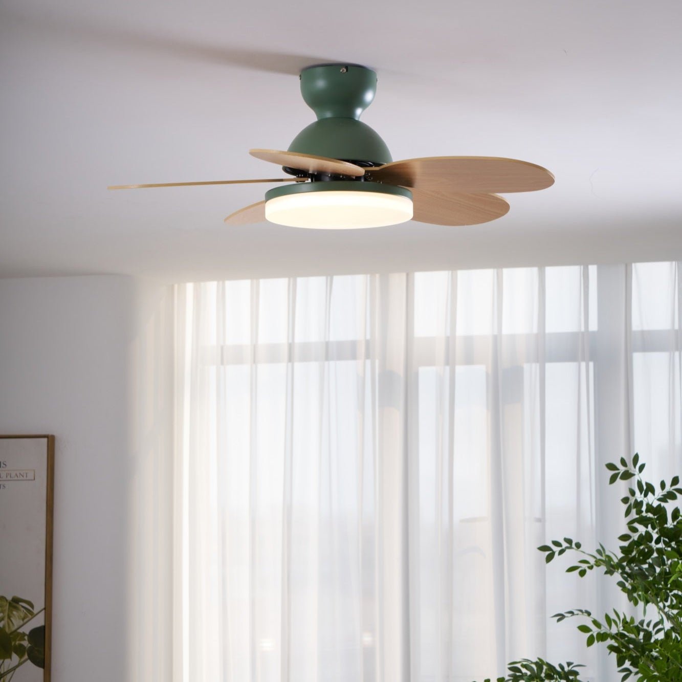 Qeslo Ceiling Fan