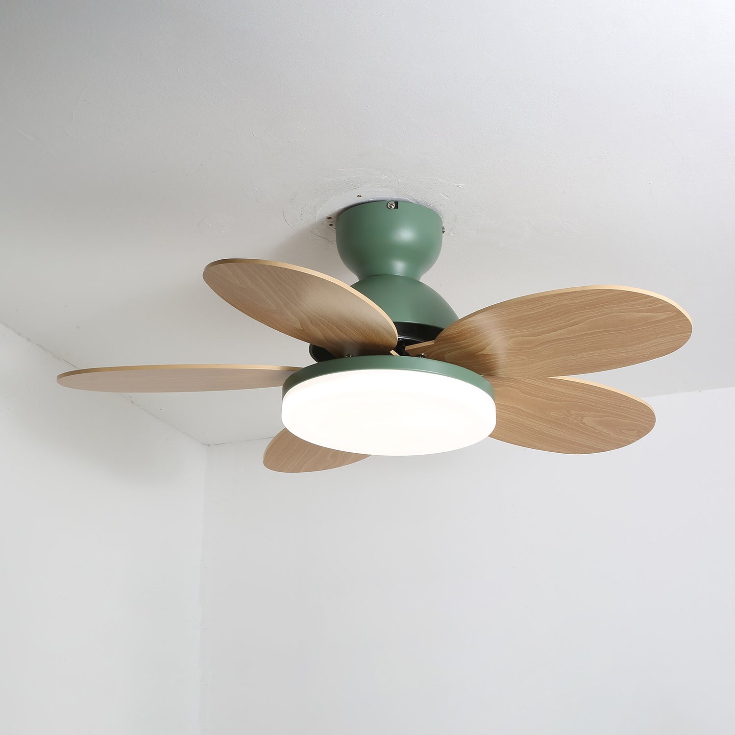 Qeslo Ceiling Fan