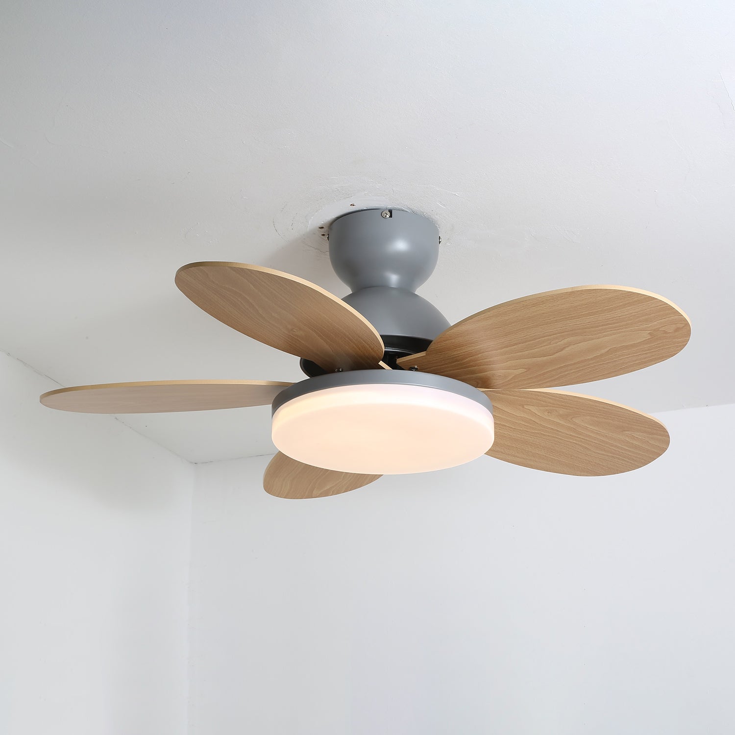 Qeslo Ceiling Fan